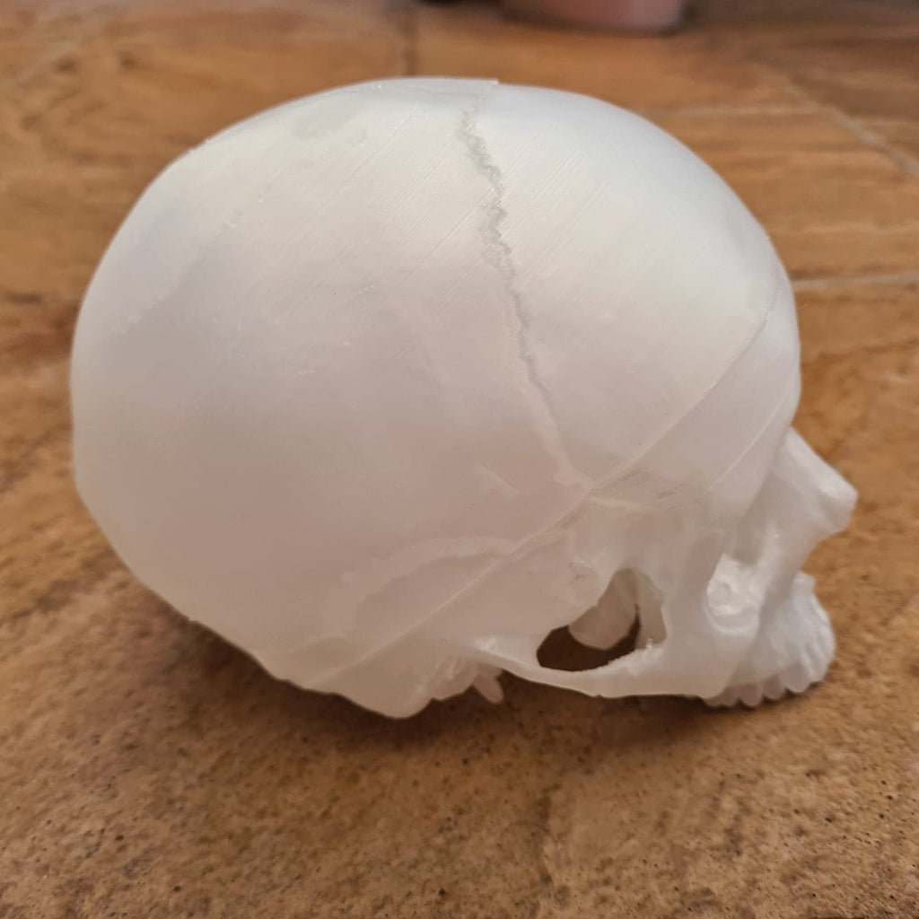 Transparent Human Skull Lamp - 3D Printed Home Décor