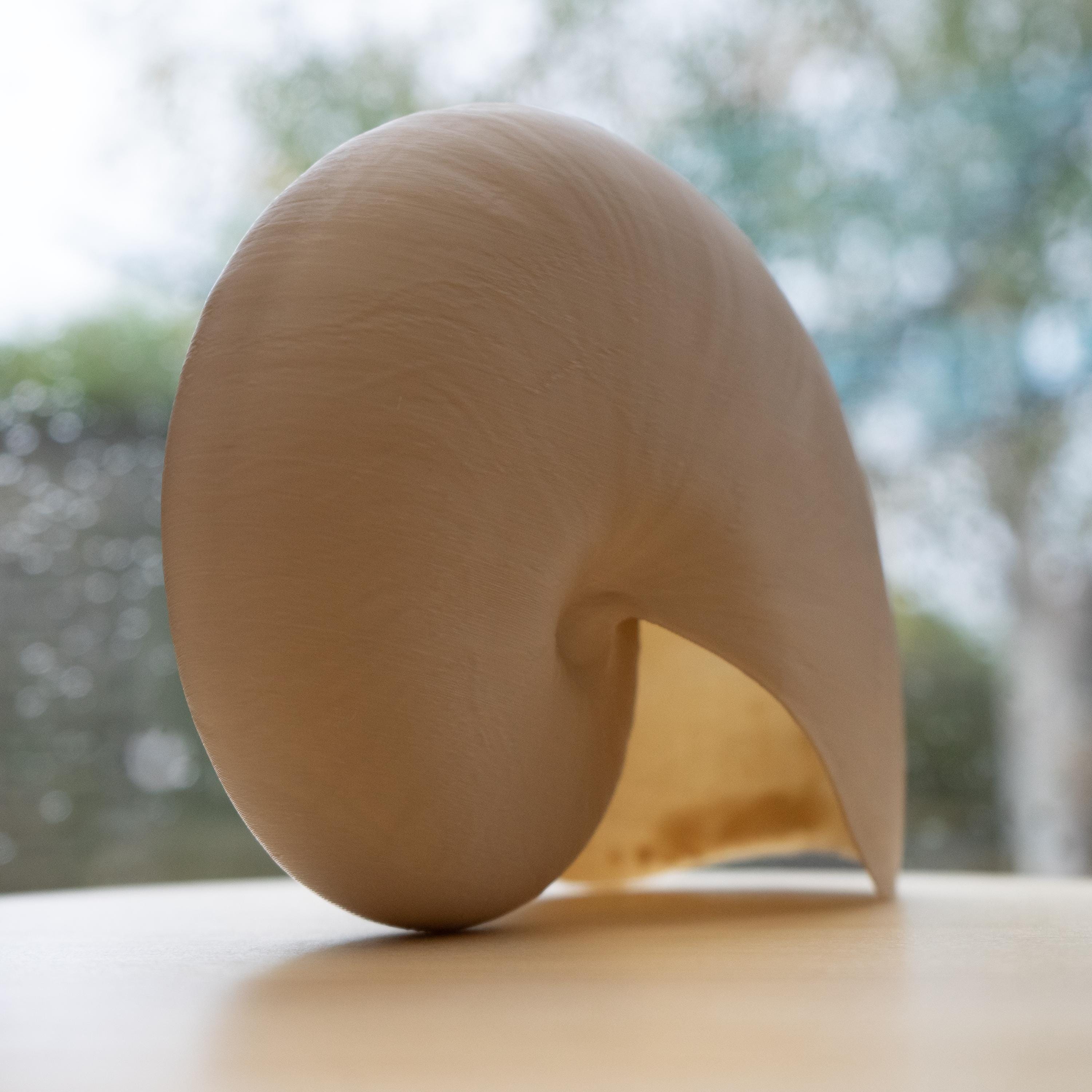 Nautilus Shell - Life Size 3D Print