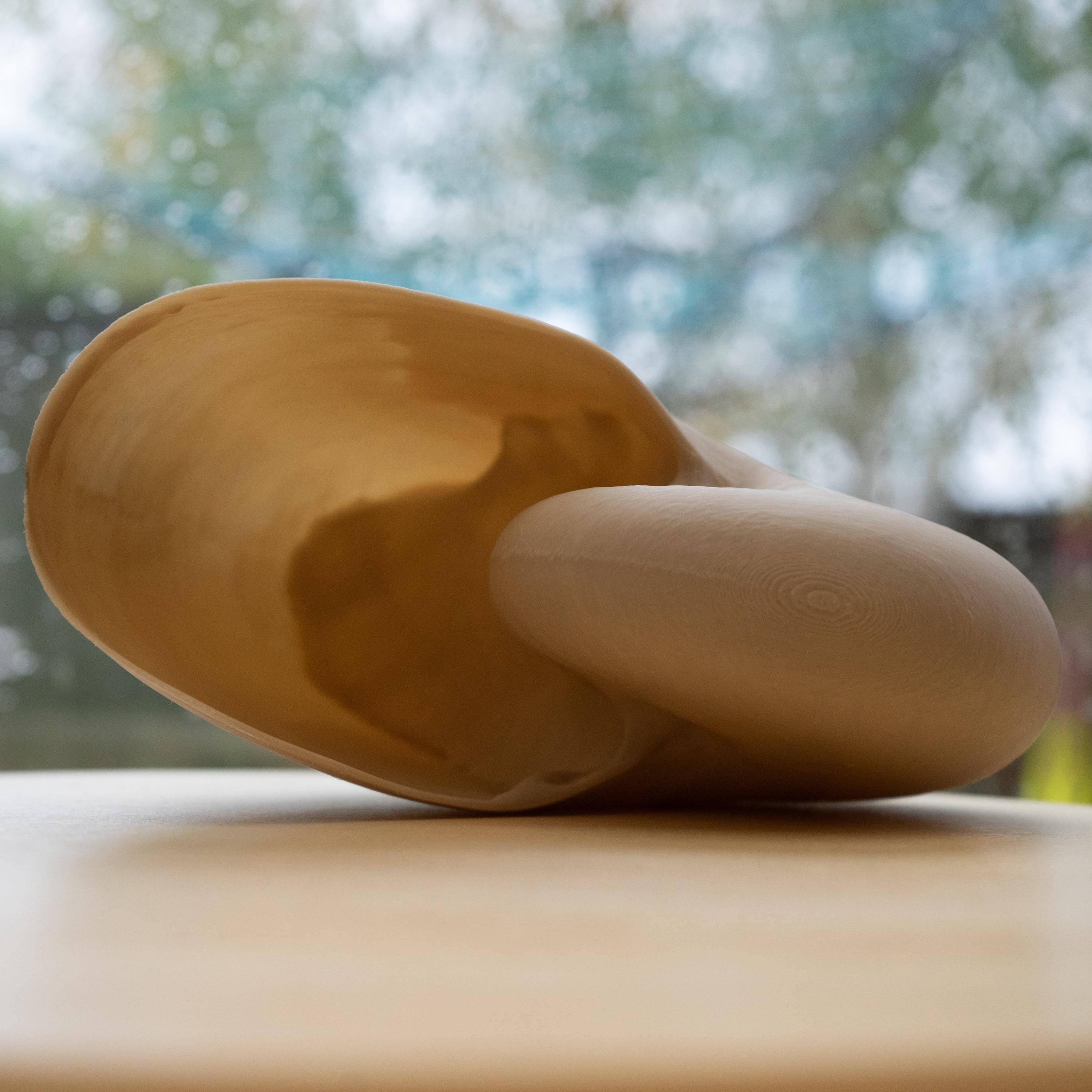 Nautilus Shell - Life Size 3D Print