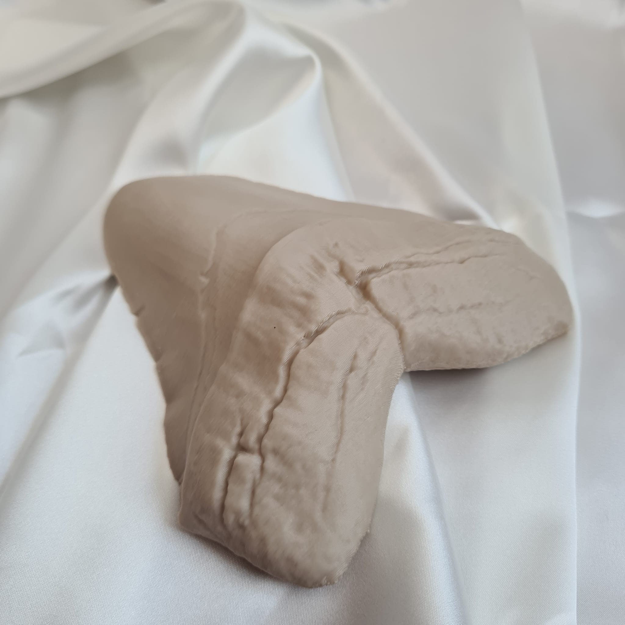 Megalodon Tooth - Life Size 3D Print