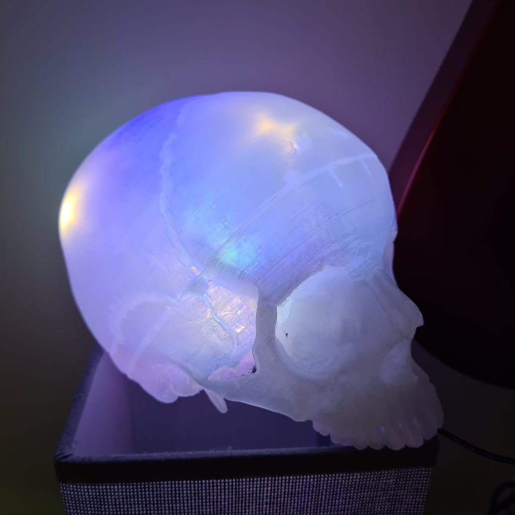 Transparent Human Skull Lamp - 3D Printed Home Décor