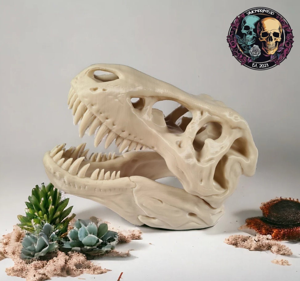 T-Rex Dinosaur skull - 3D Print