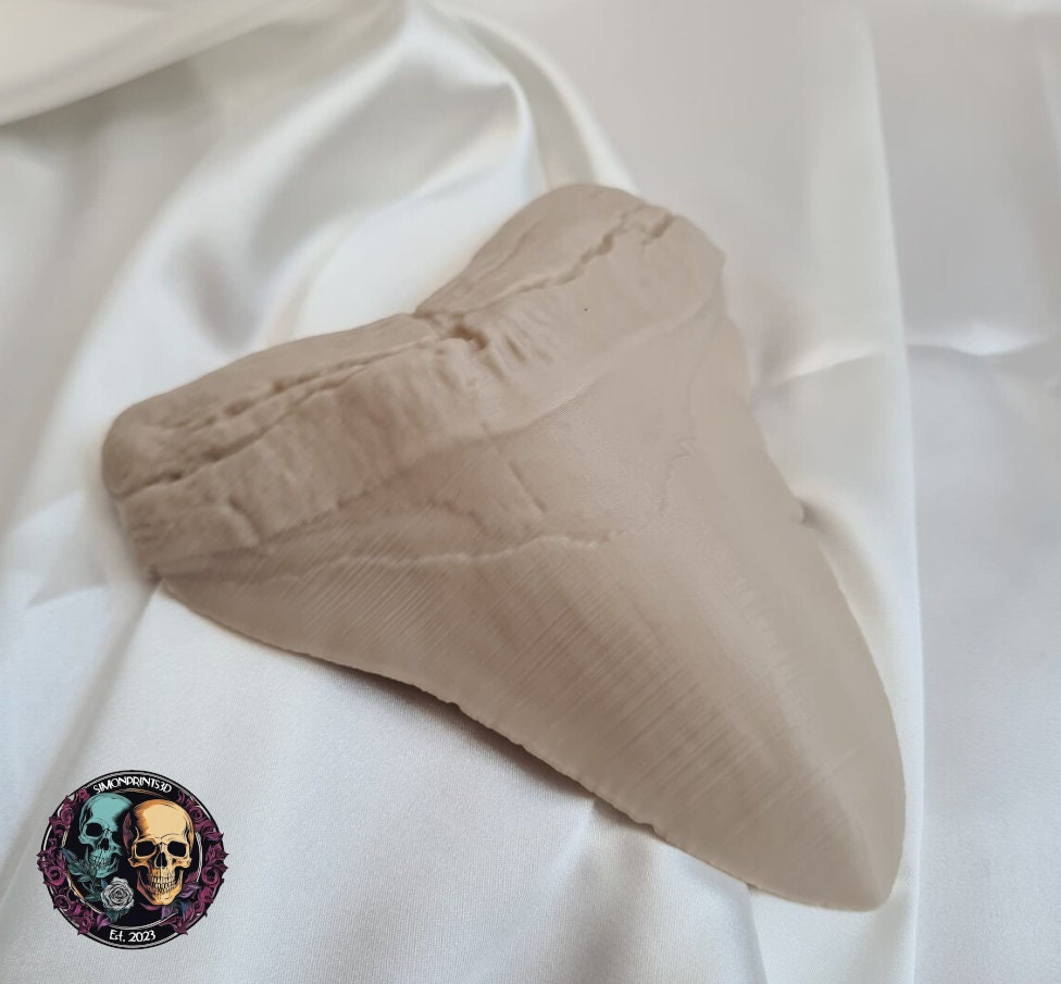 Megalodon Tooth - Life Size 3D Print