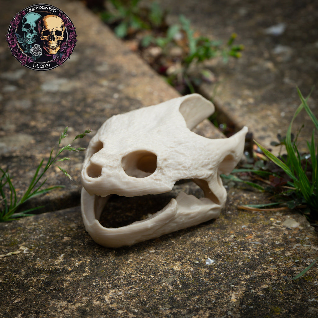 Snapping Turtle Skull - Life Size 3D Print