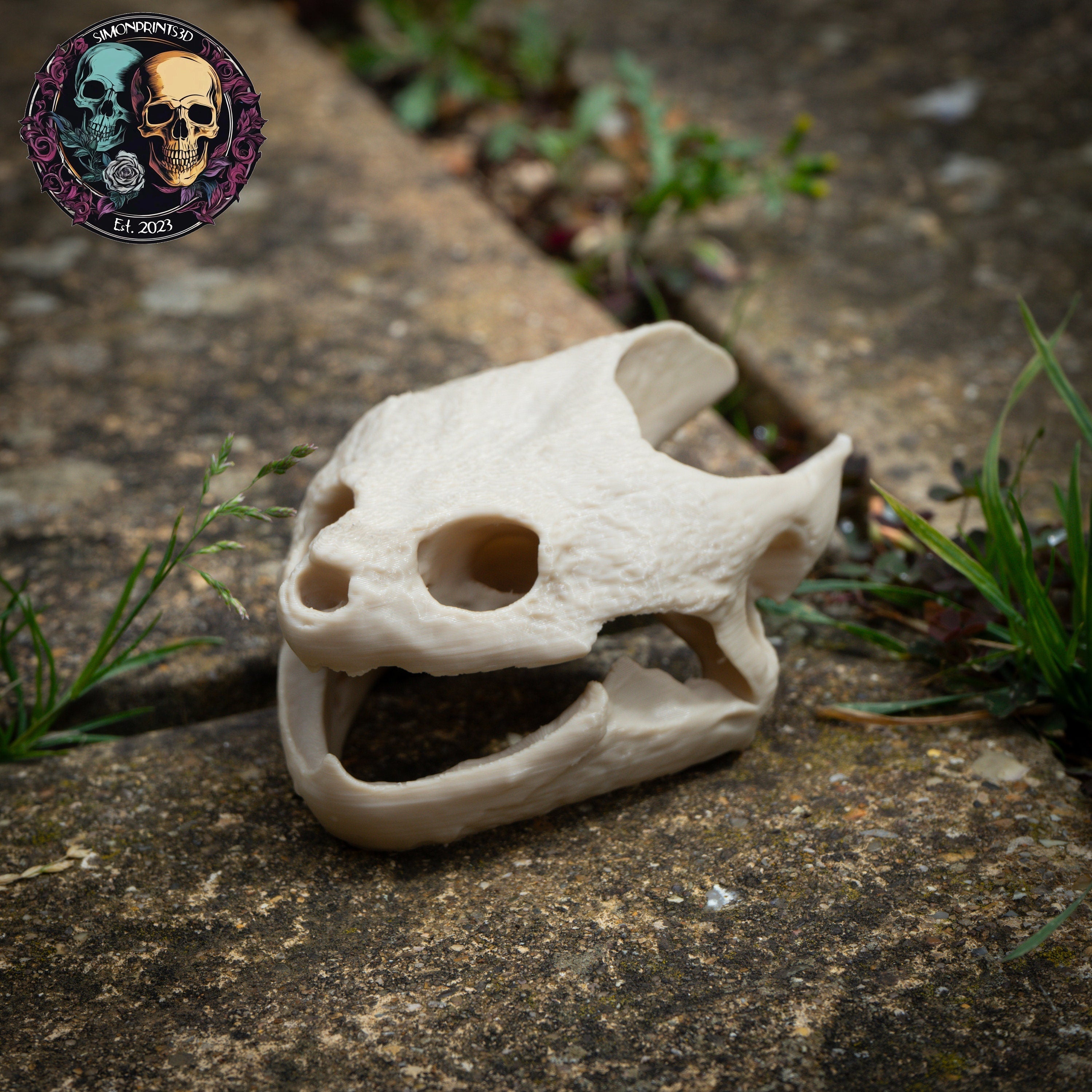 Snapping Turtle Skull - Life Size 3D Print