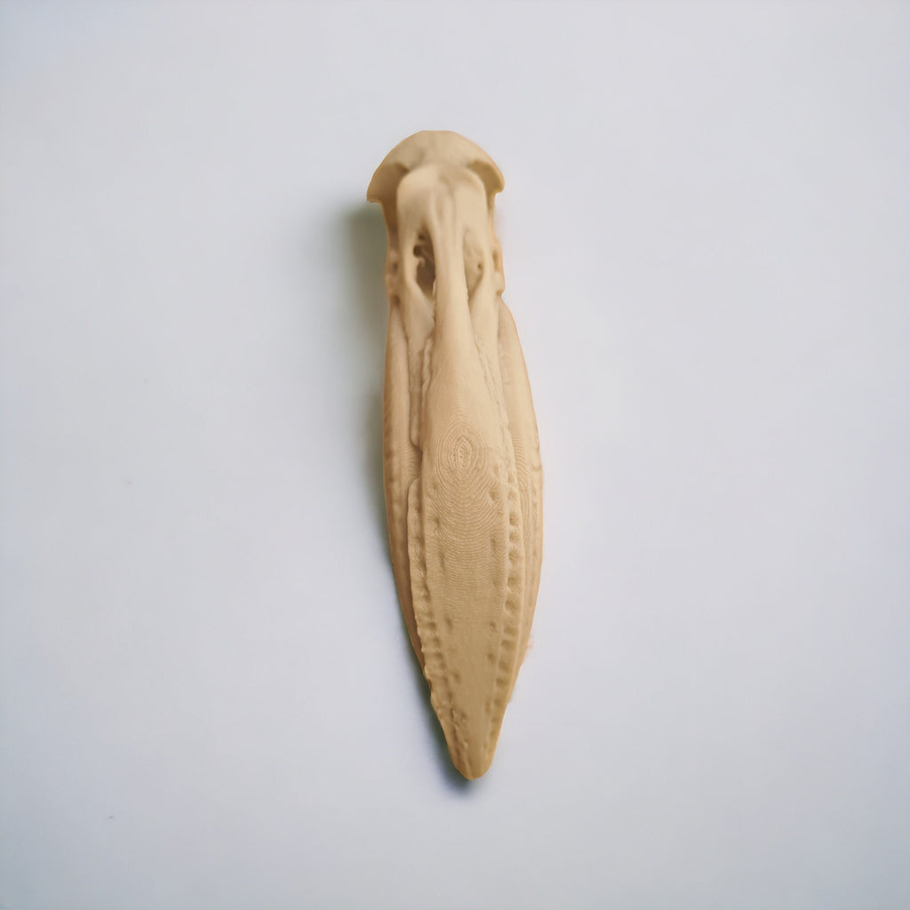 Flamingo Skull - Life Size 3D Print