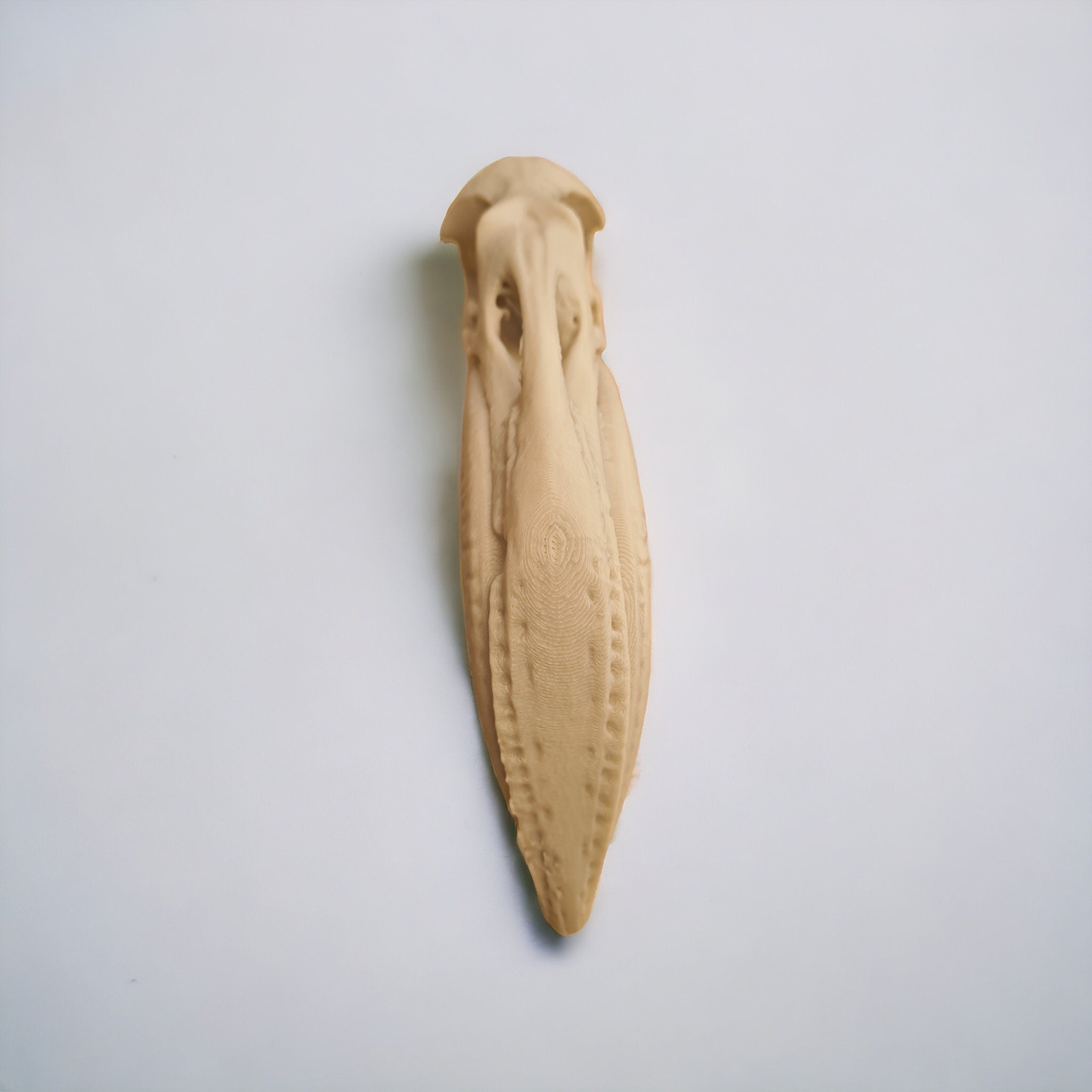 Flamingo Skull - Life Size 3D Print