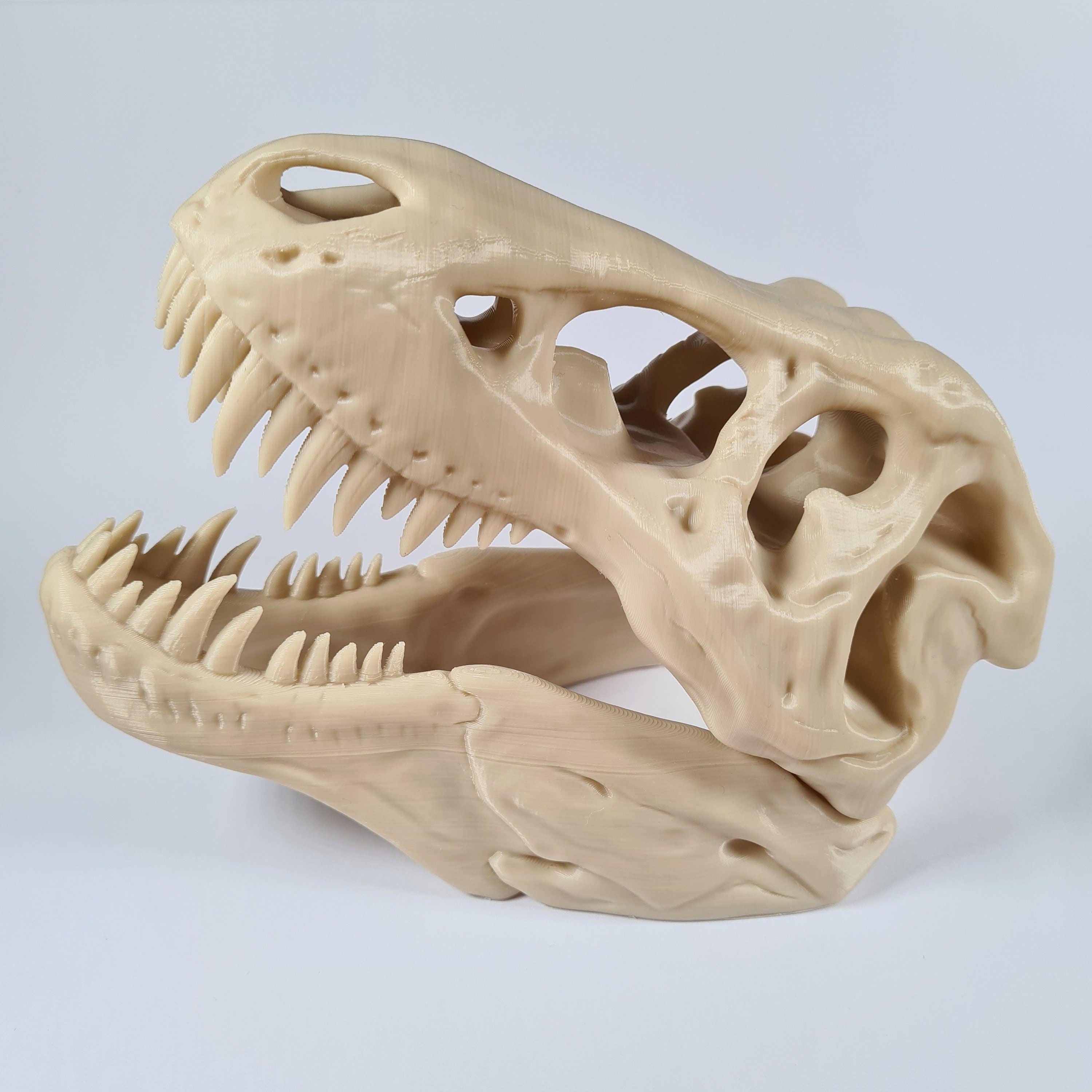 T-Rex Dinosaur skull - 3D Print