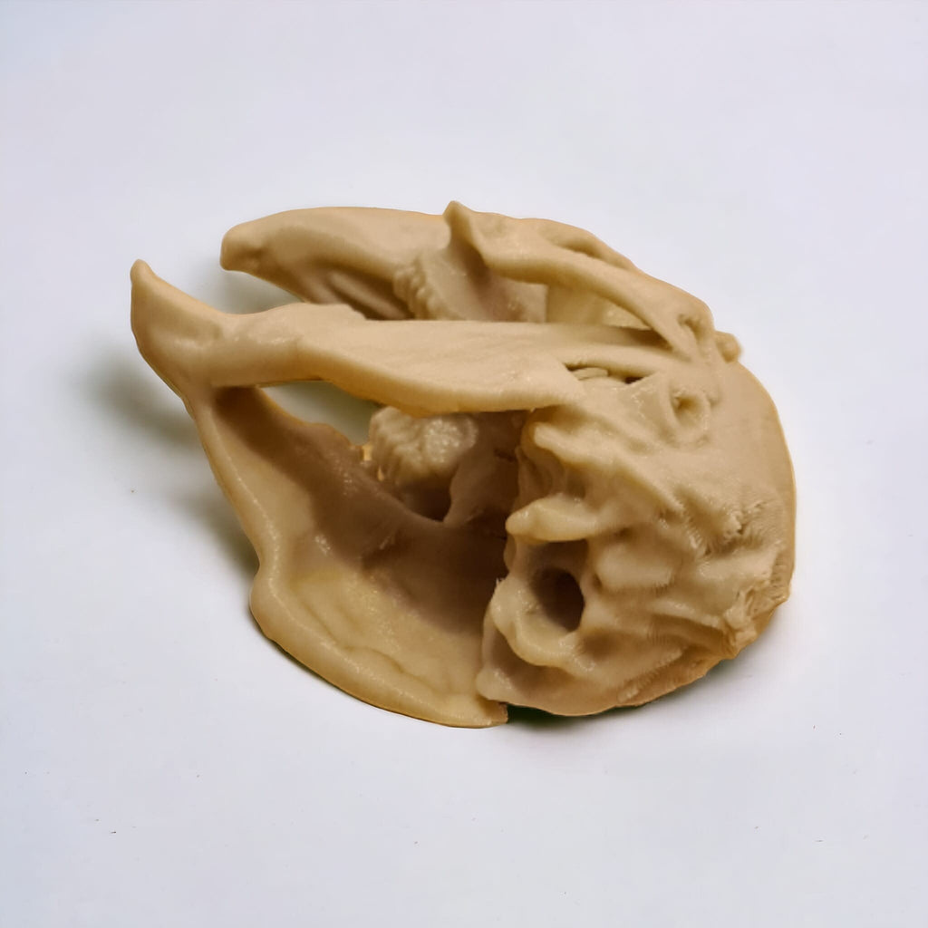 Rabbit Skull - Life Size 3D Print