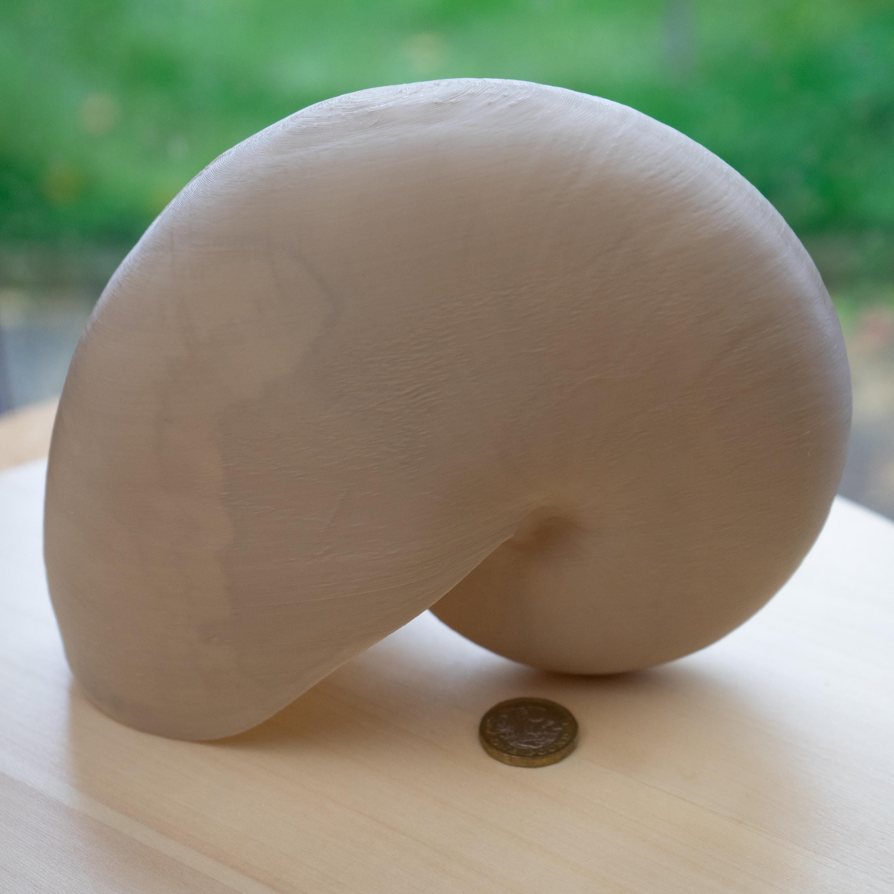 Nautilus Shell - Life Size 3D Print