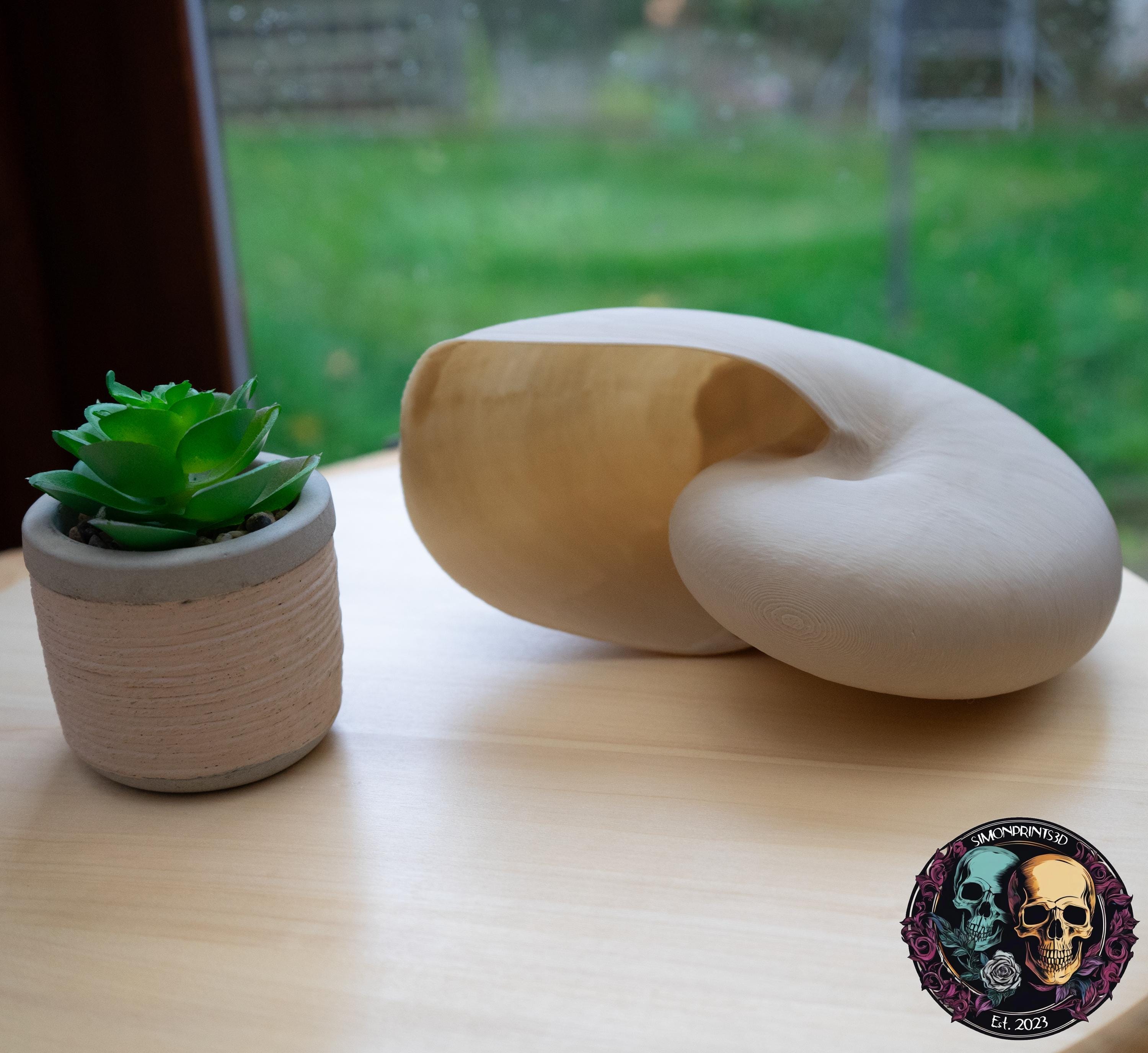 Nautilus Shell - Life Size 3D Print