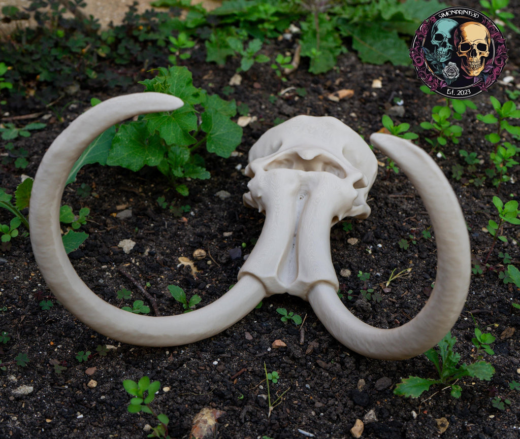 Scaled Down Woolly Mammoth Skull Replica – Realistic 3D Printed Bone Model