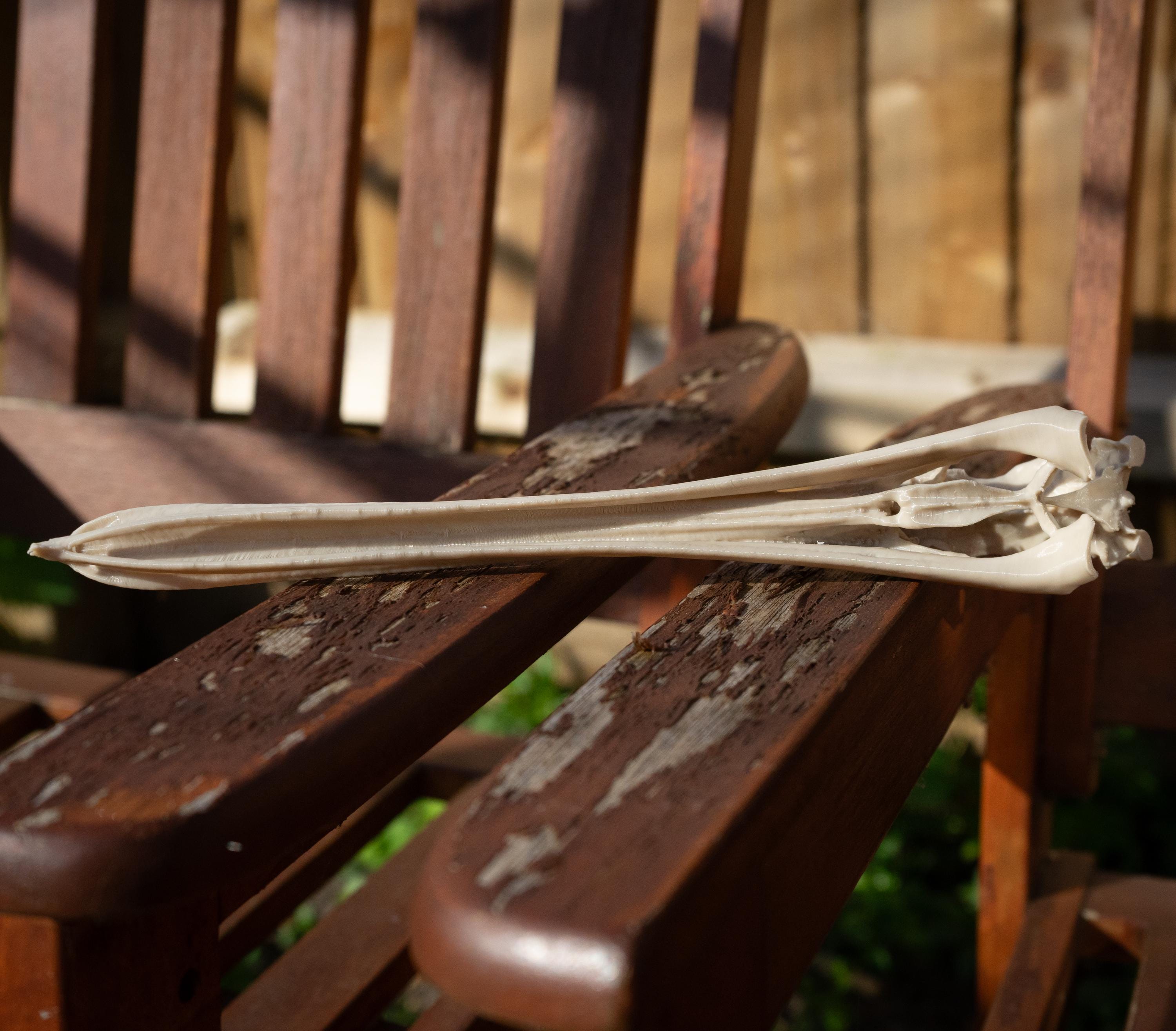 Pelican Skull - 3D Print