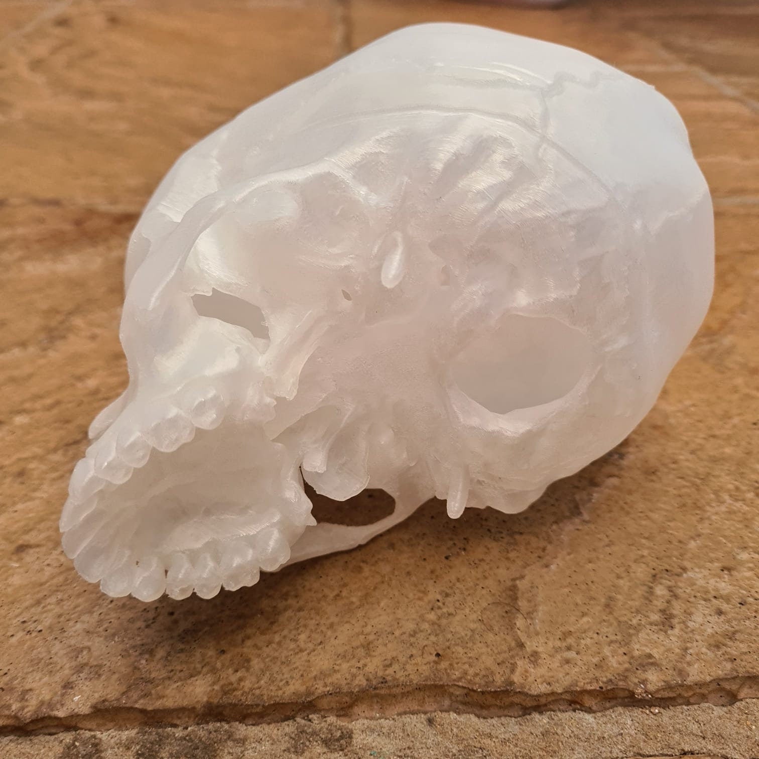 Transparent Human Skull Lamp - 3D Printed Home Décor