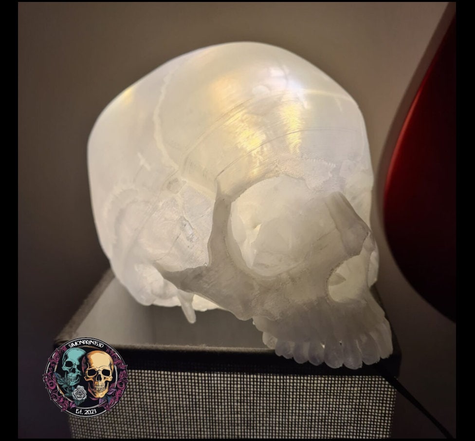 Transparent Human Skull Lamp - 3D Printed Home Décor