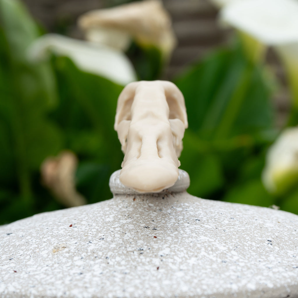 Duck Skull - Life Size 3D Print