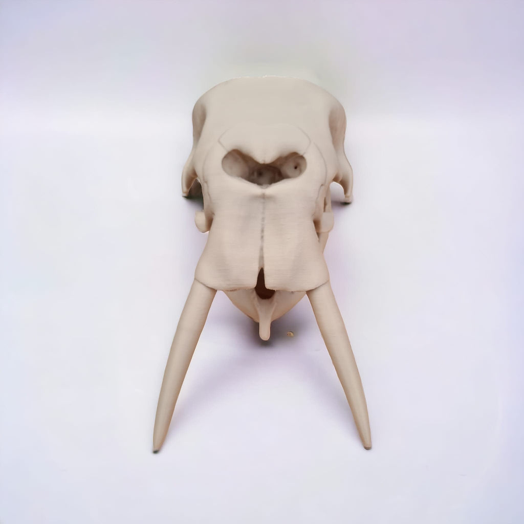 Elephant Skull - 3D Print