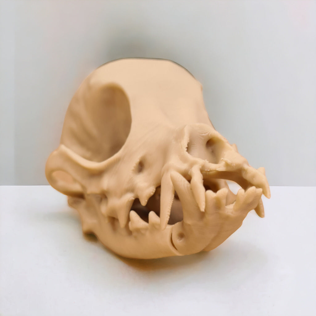Chihuahua Skull - Life Size 3D Print