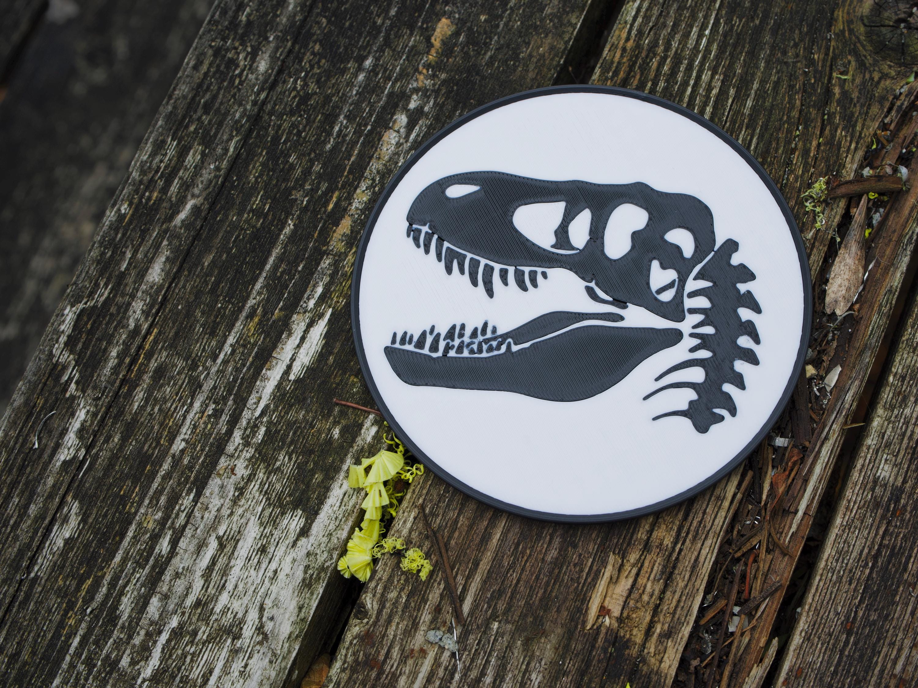 Dinosaur Themed Drinks Coasters – 3D Printed On Demand, Prehistoric Gift Set