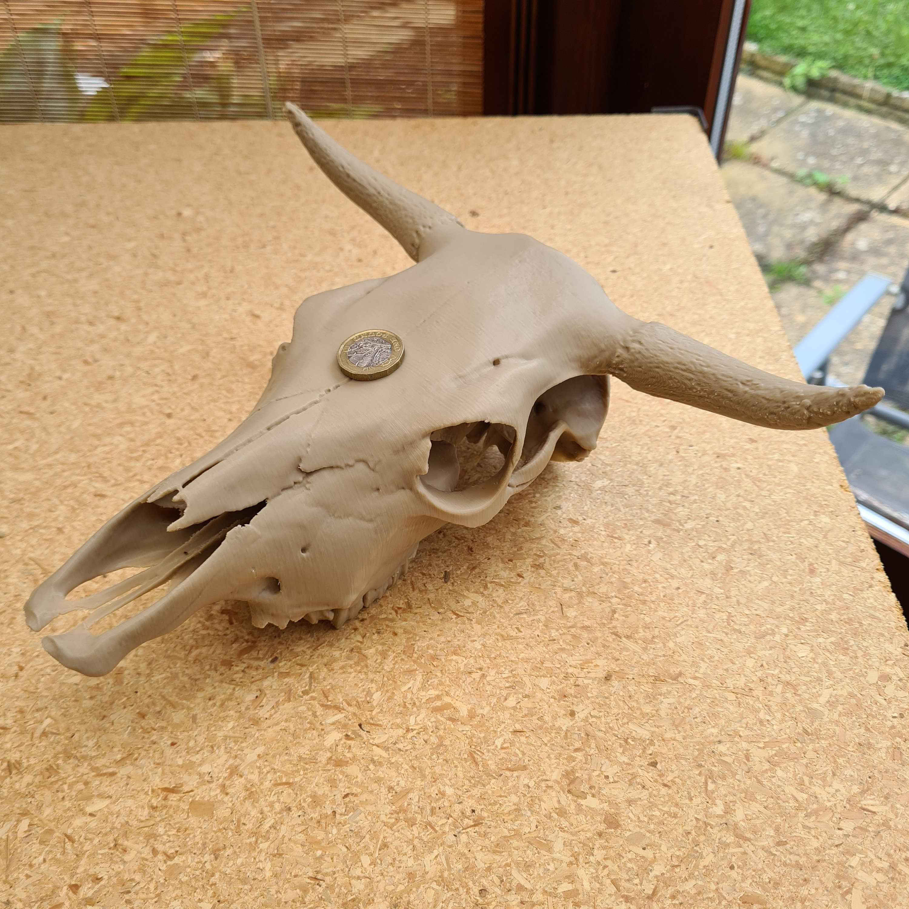 Cow Skull - 3D Print