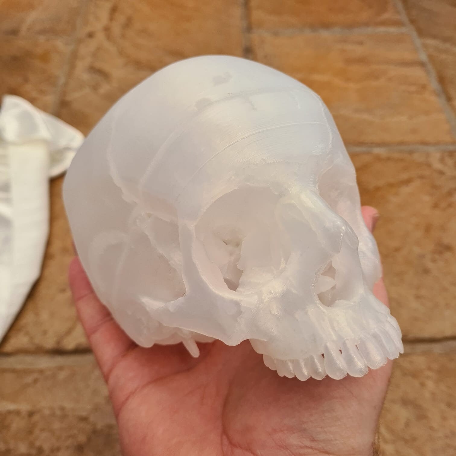 Transparent Human Skull Lamp - 3D Printed Home Décor
