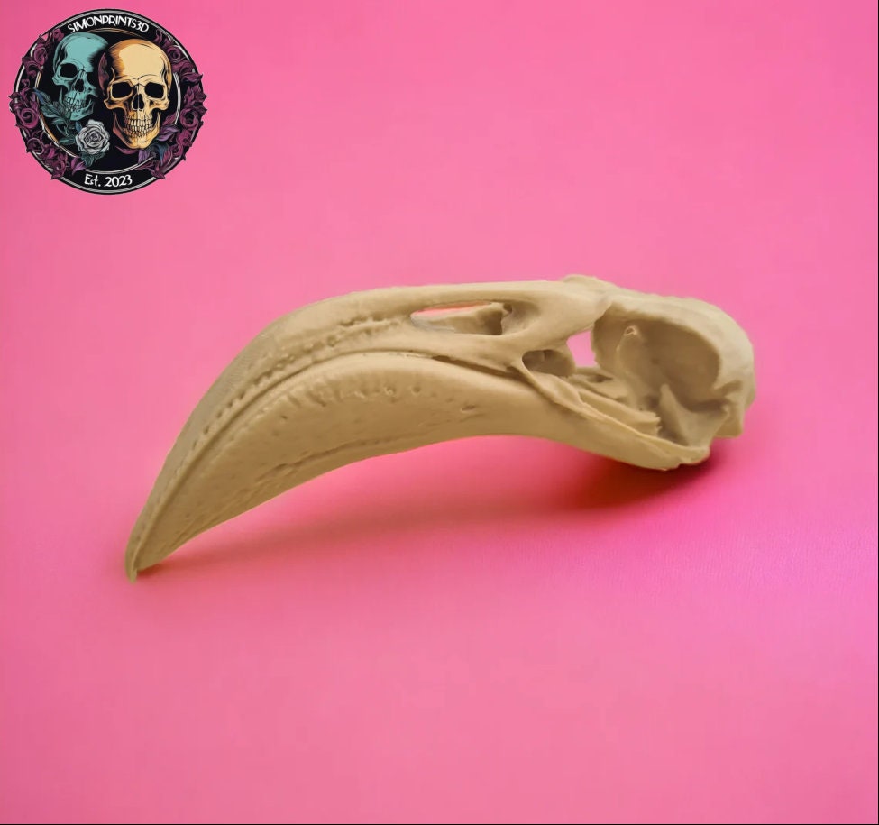 Flamingo Skull - Life Size 3D Print