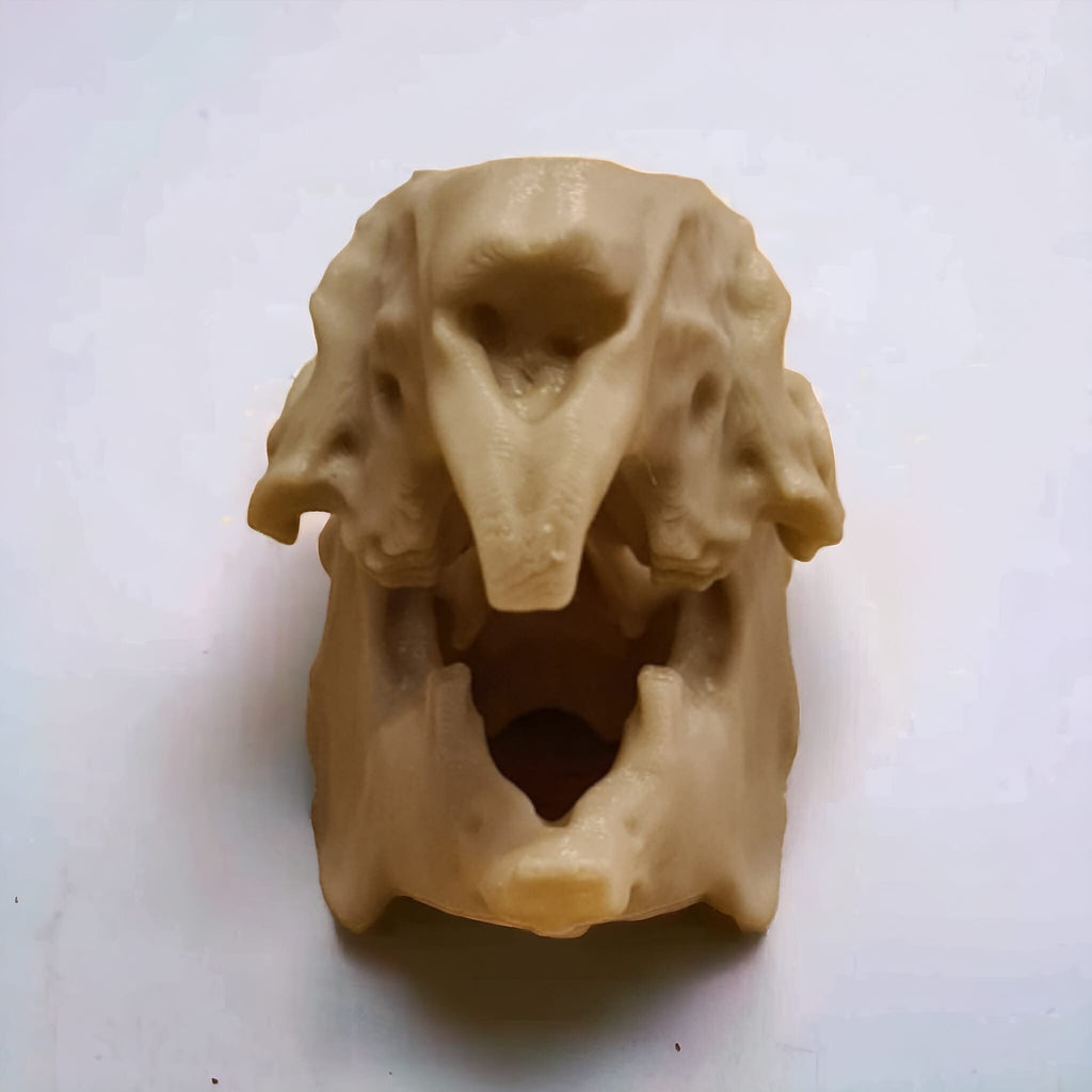 Rabbit Skull - Life Size 3D Print