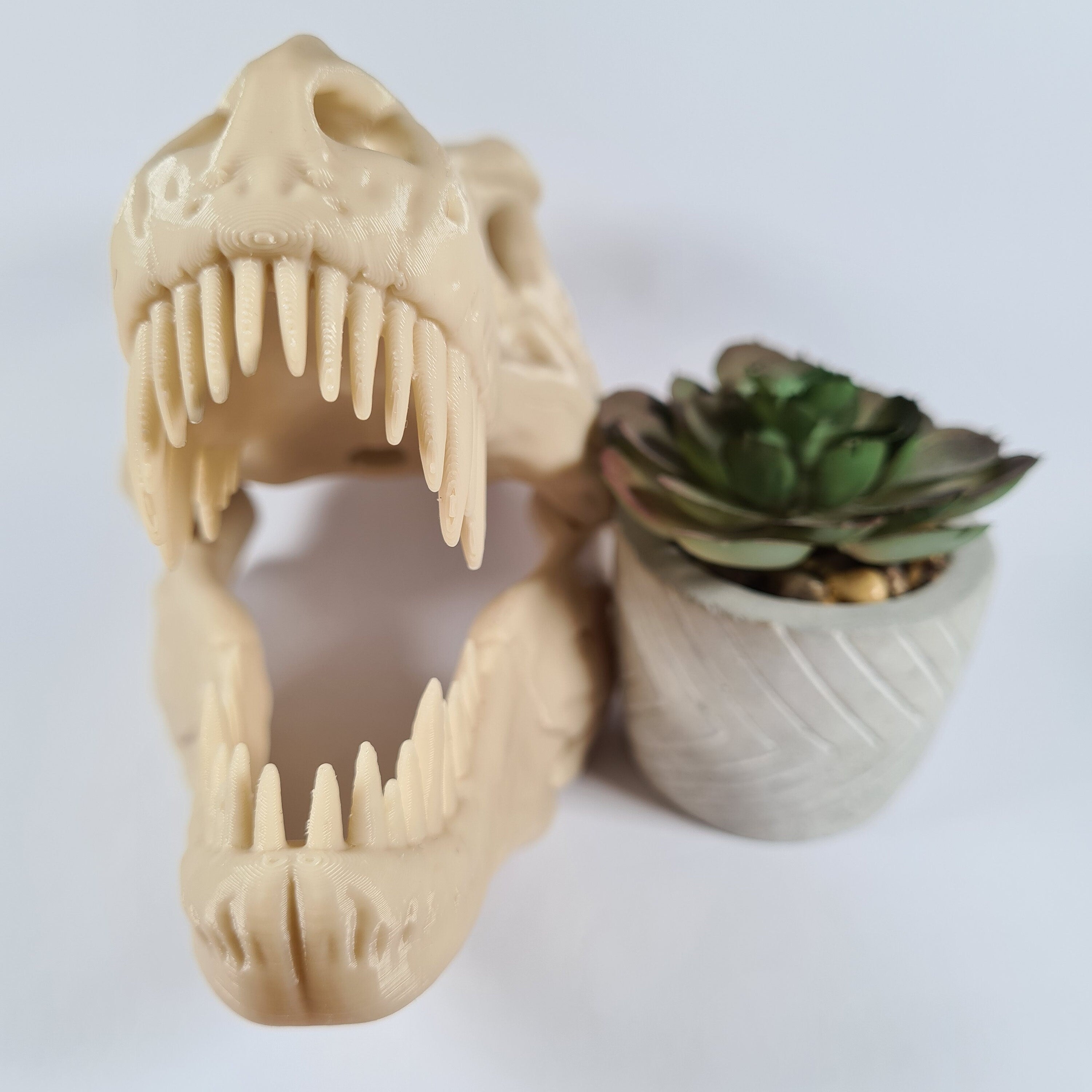 T-Rex Dinosaur skull - 3D Print