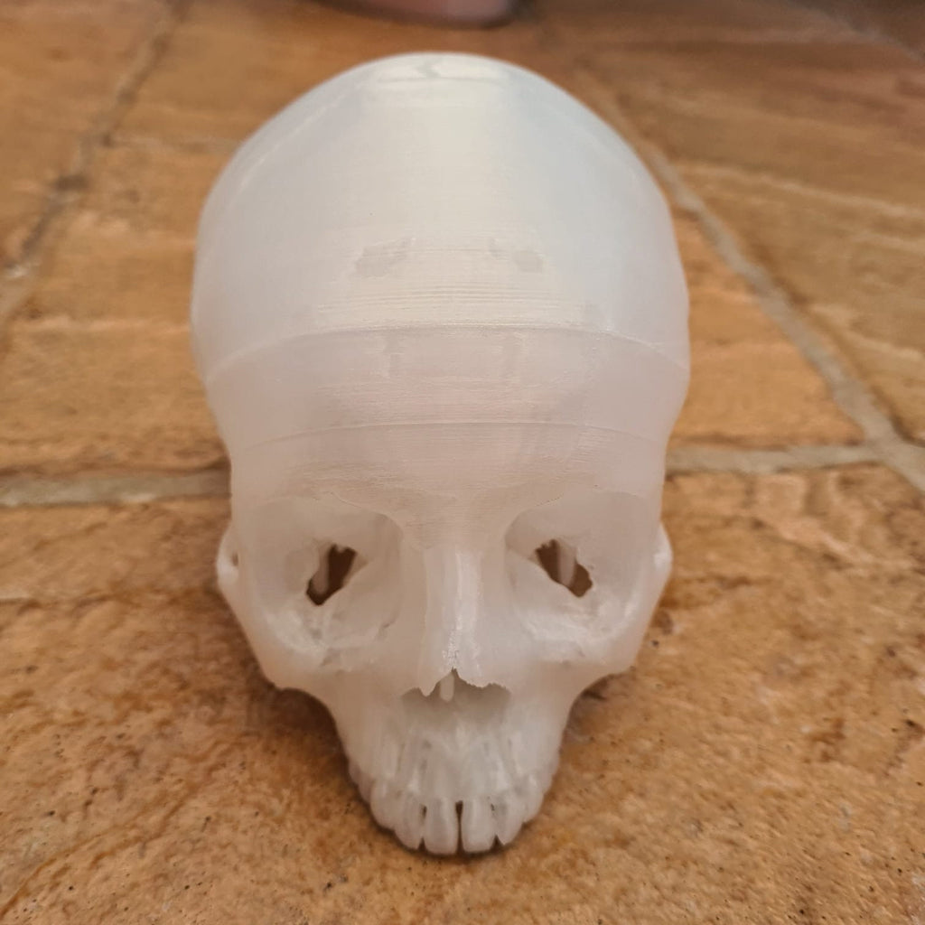 Transparent Human Skull Lamp - 3D Printed Home Décor