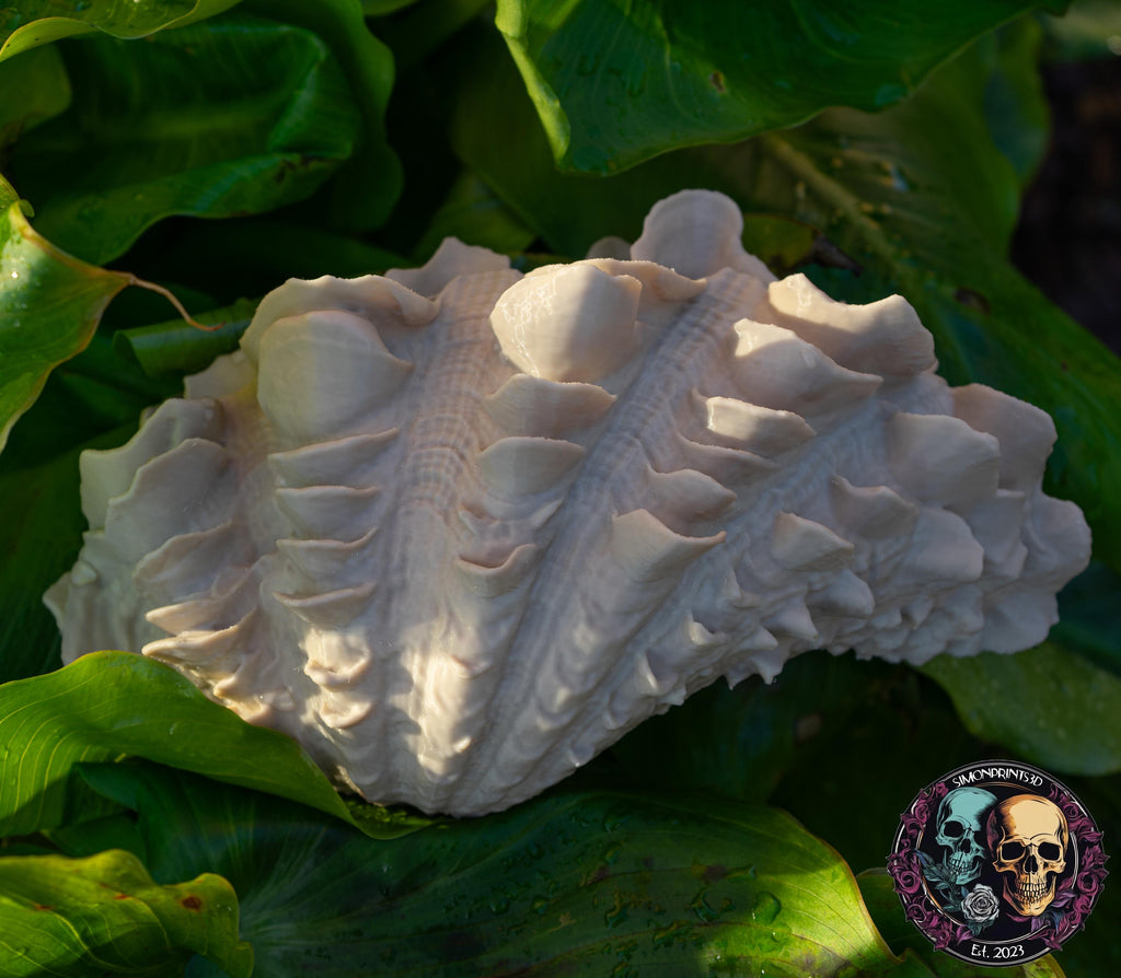 Giant Clam - 3D Print