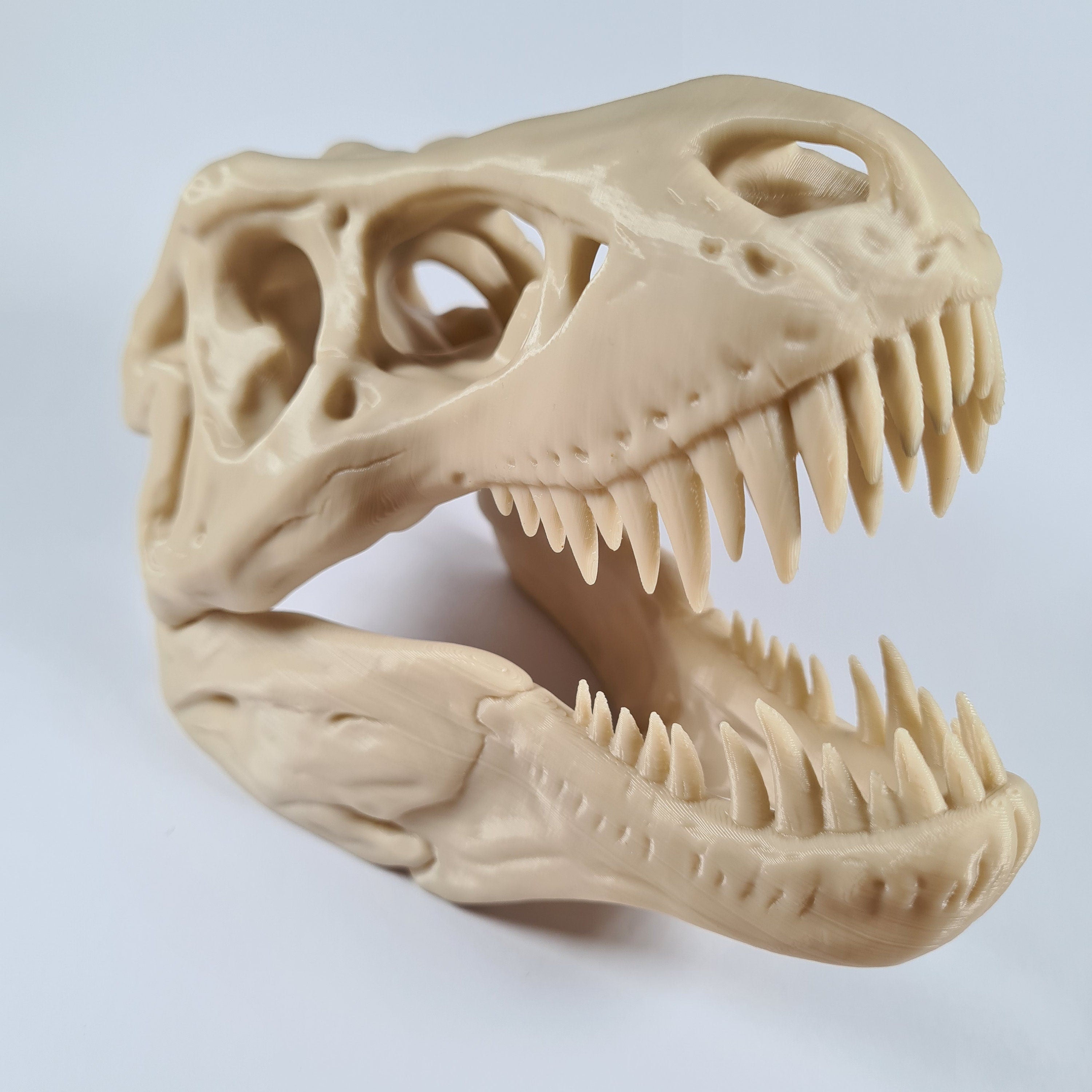 T-Rex Dinosaur skull - 3D Print
