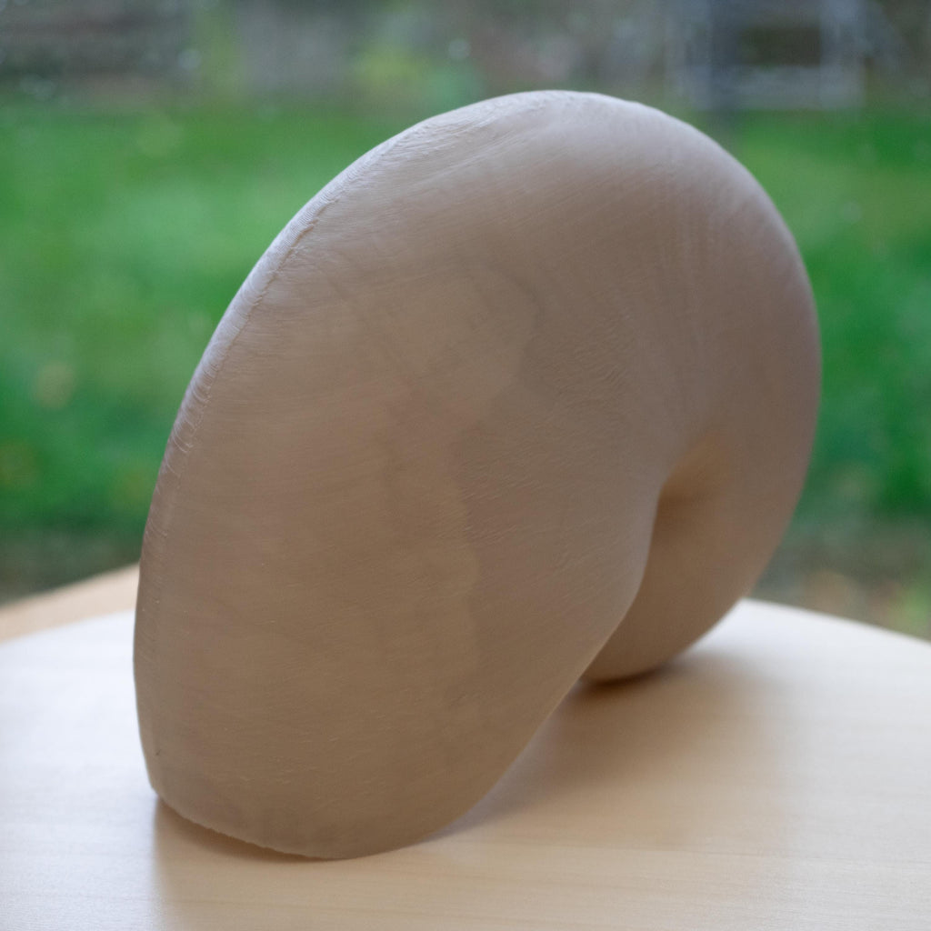 Nautilus Shell - Life Size 3D Print