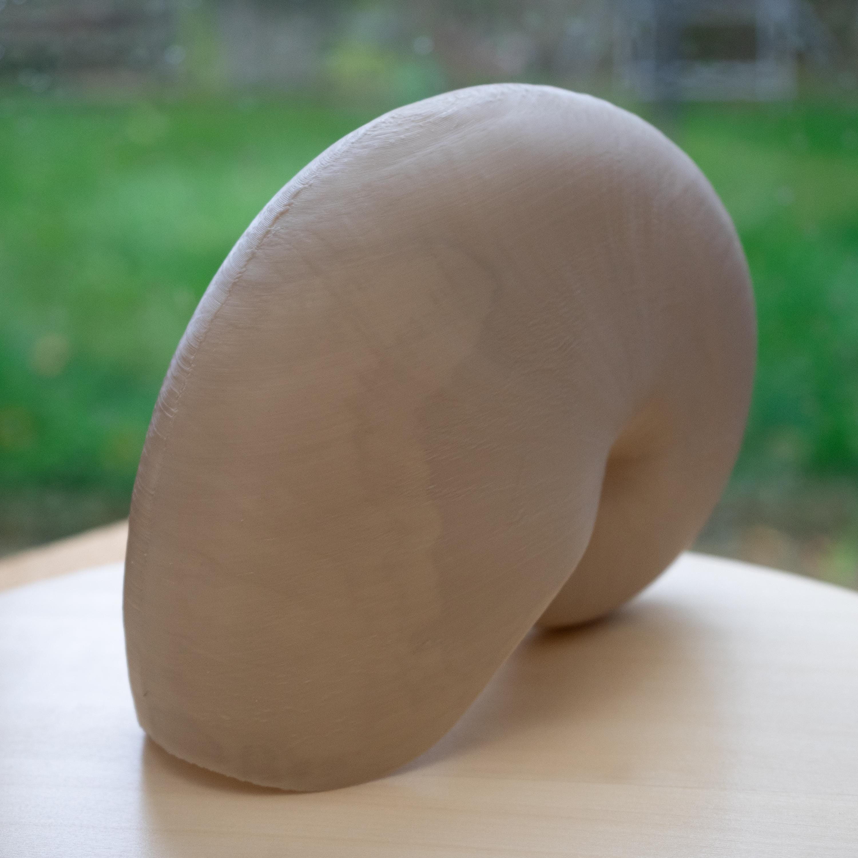 Nautilus Shell - Life Size 3D Print