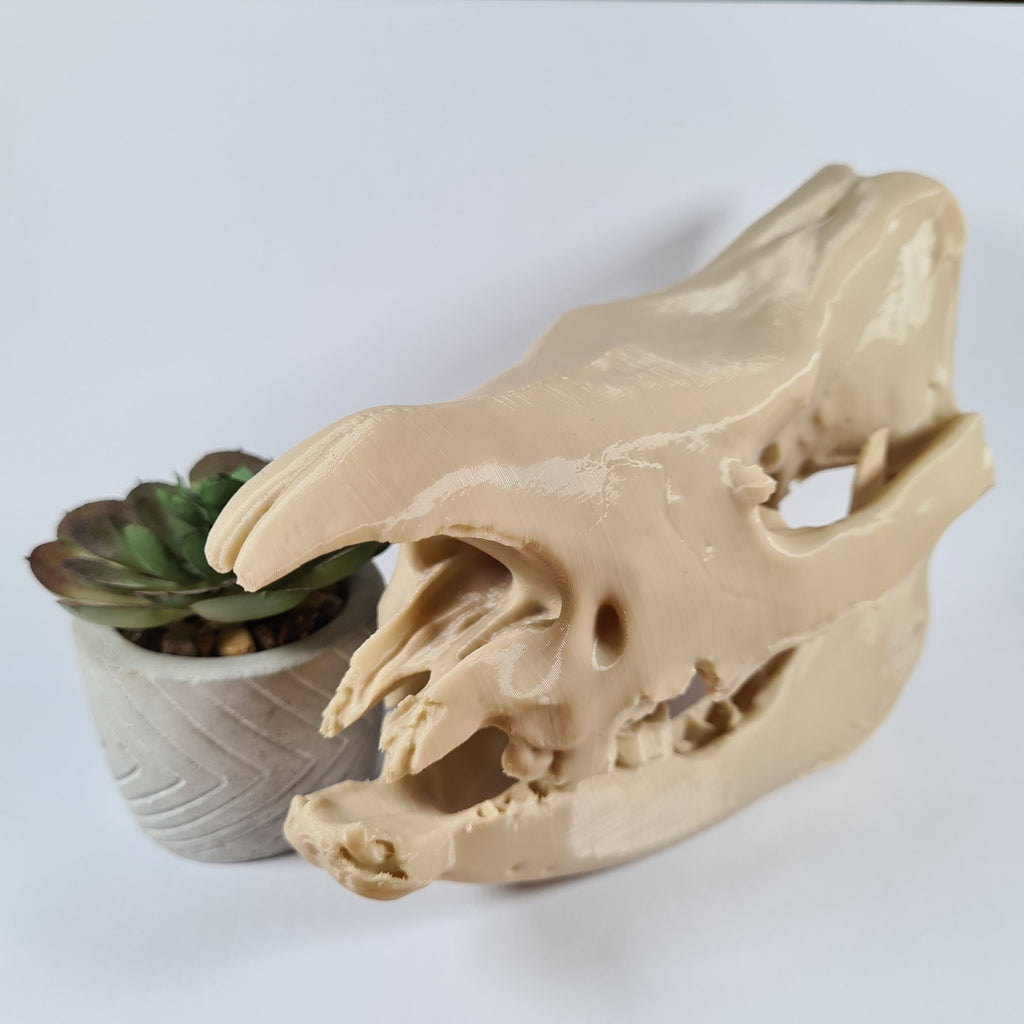 Rhinoceros Skull - 3D Print