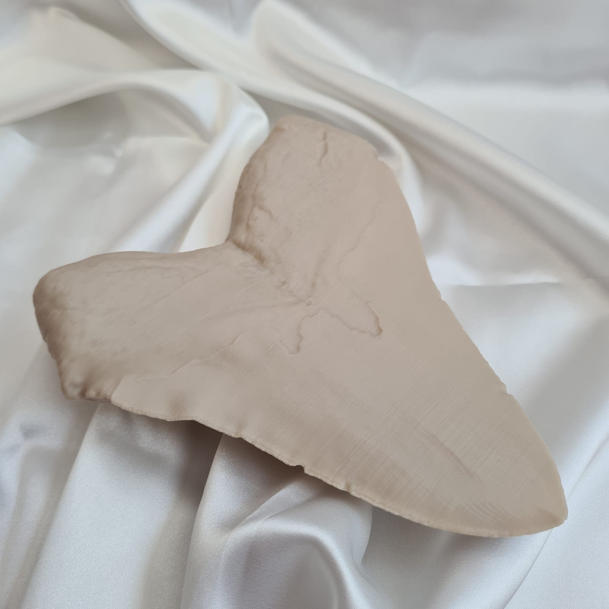 Megalodon Tooth - Life Size 3D Print