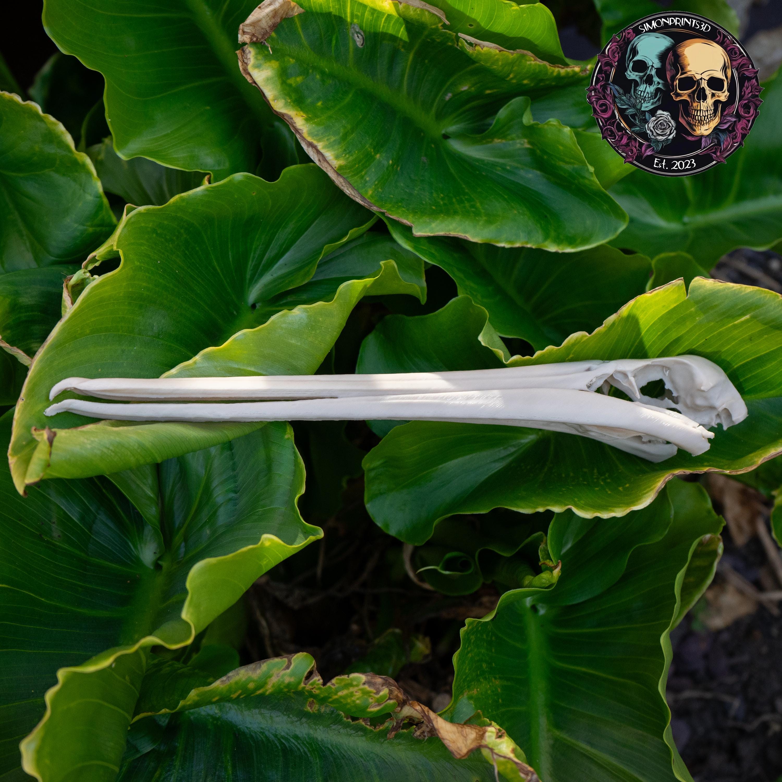 Pelican Skull - 3D Print