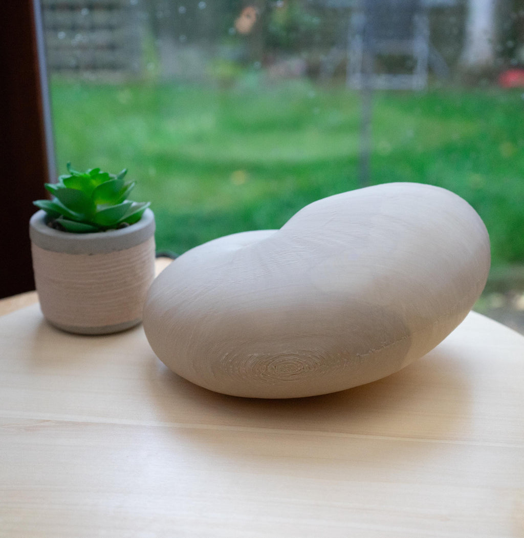 Nautilus Shell - Life Size 3D Print