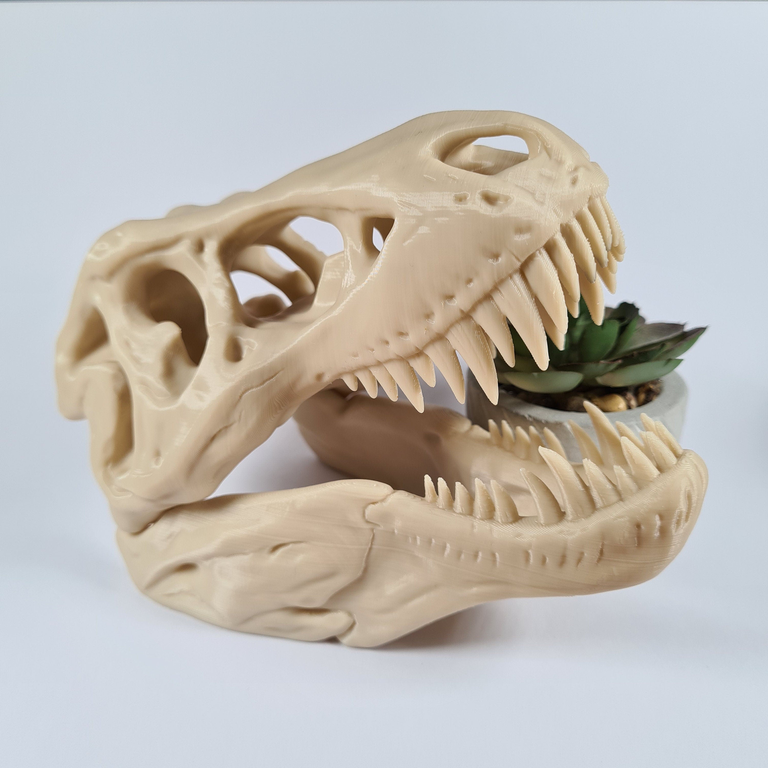 T-Rex Dinosaur skull - 3D Print