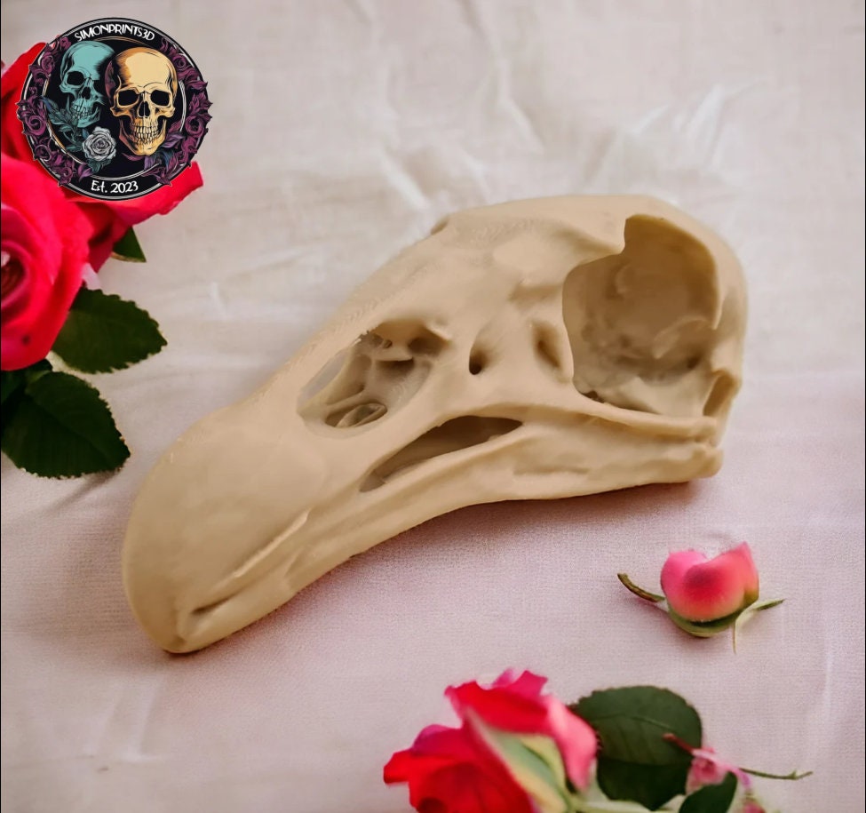 Black Vulture Skull - Life Size 3D Print