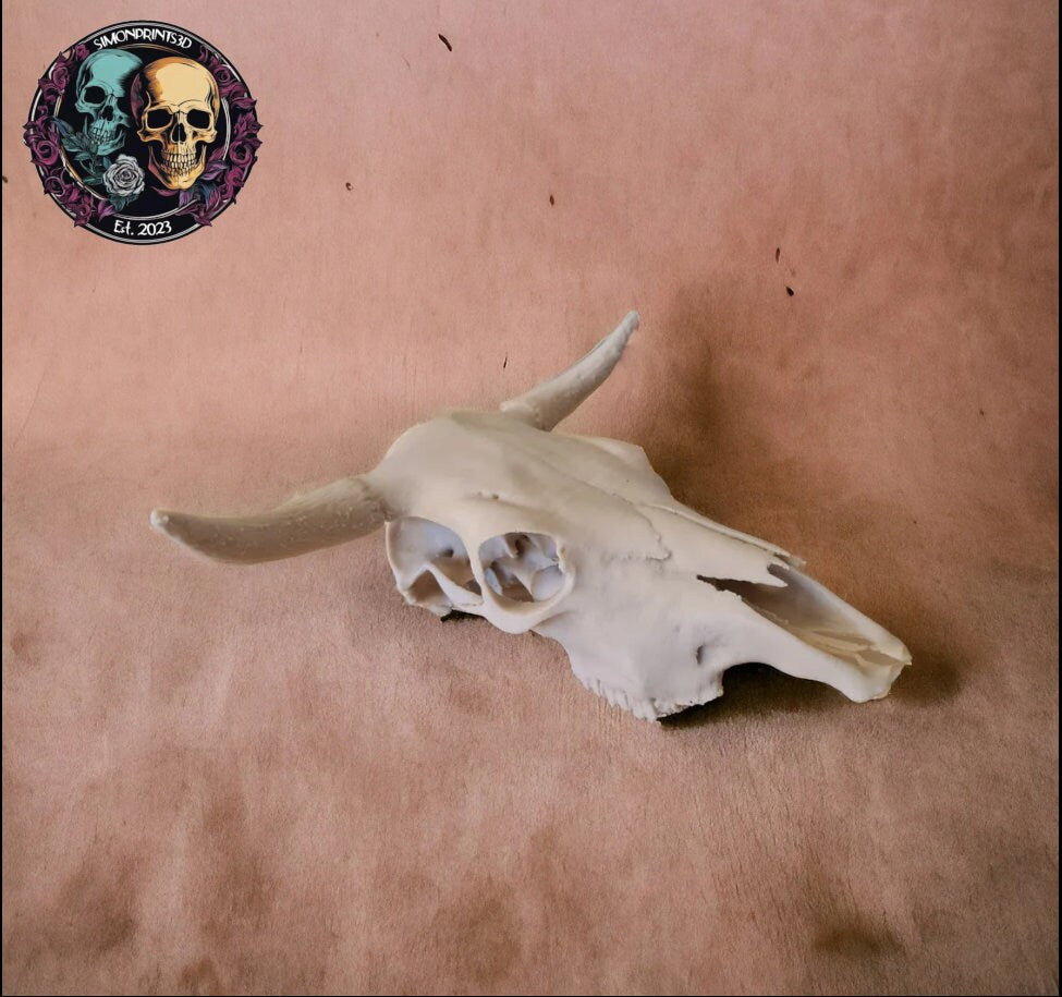 Cow Skull - 3D Print