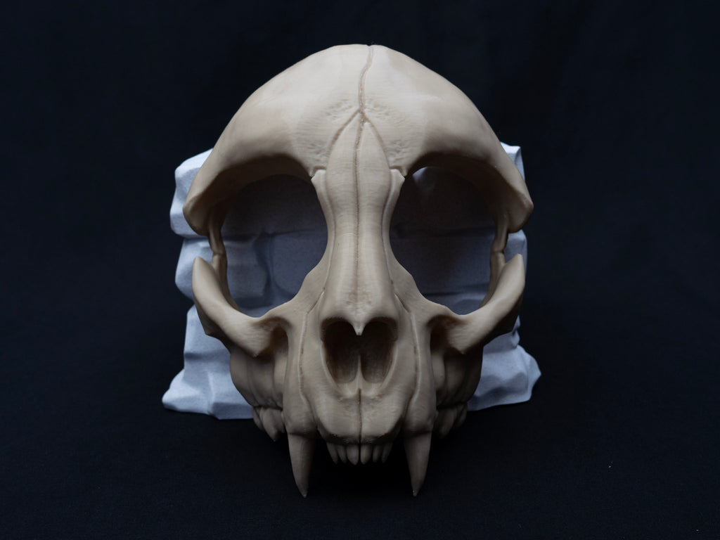 Cat Skull Half Face Mask – Gothic Halloween Costume, Fancy Dress, 3D Printed
