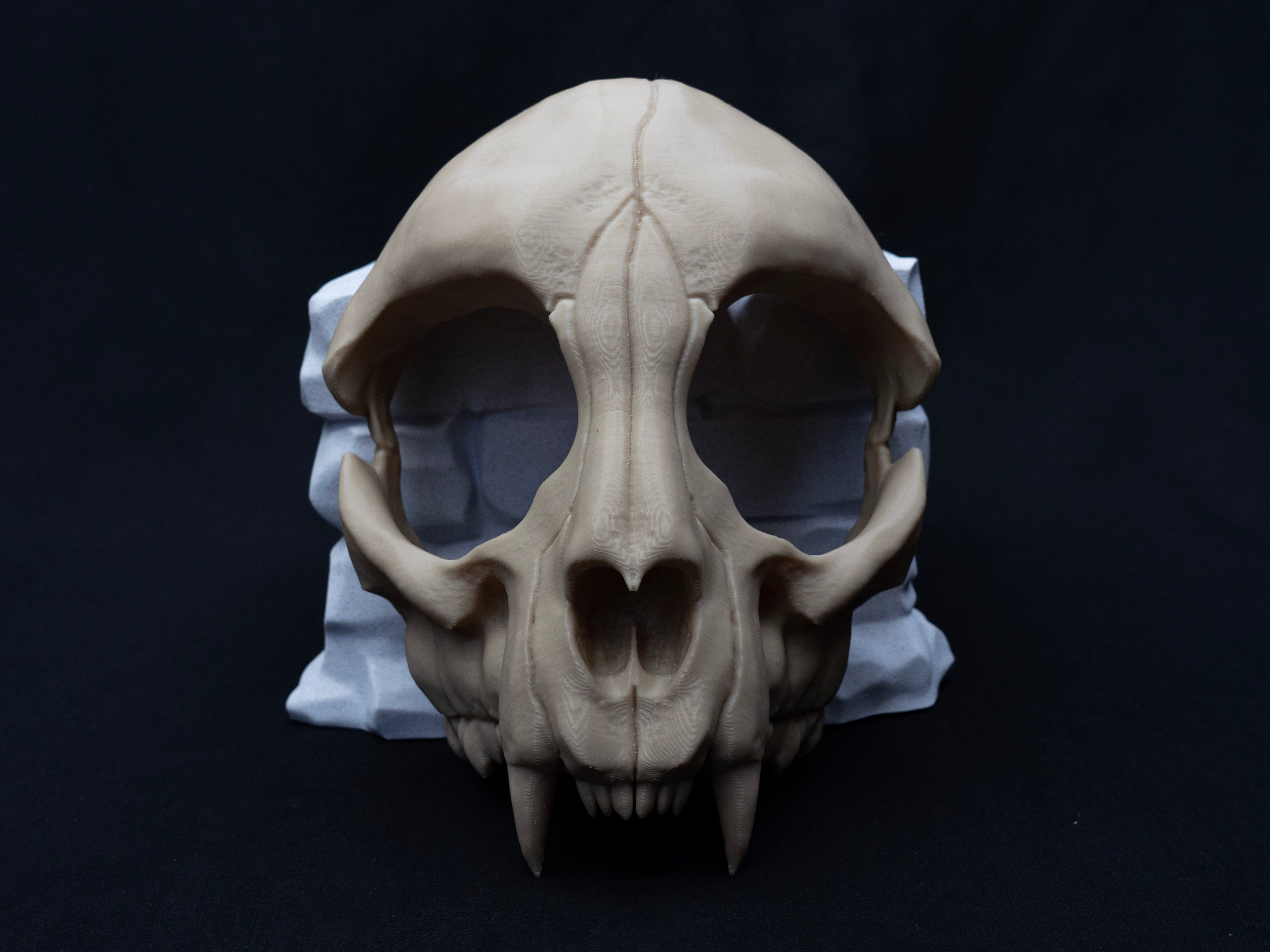 Cat Skull Half Face Mask – Gothic Halloween Costume, Fancy Dress, 3D Printed