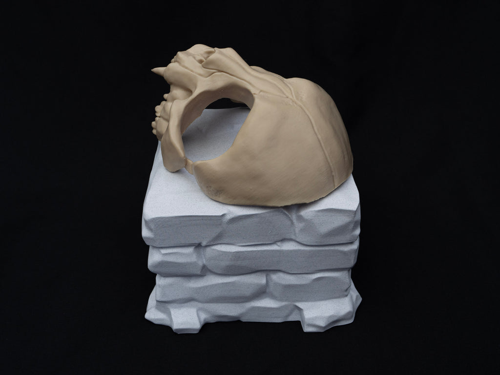 Cat Skull Half Face Mask – Gothic Halloween Costume, Fancy Dress, 3D Printed