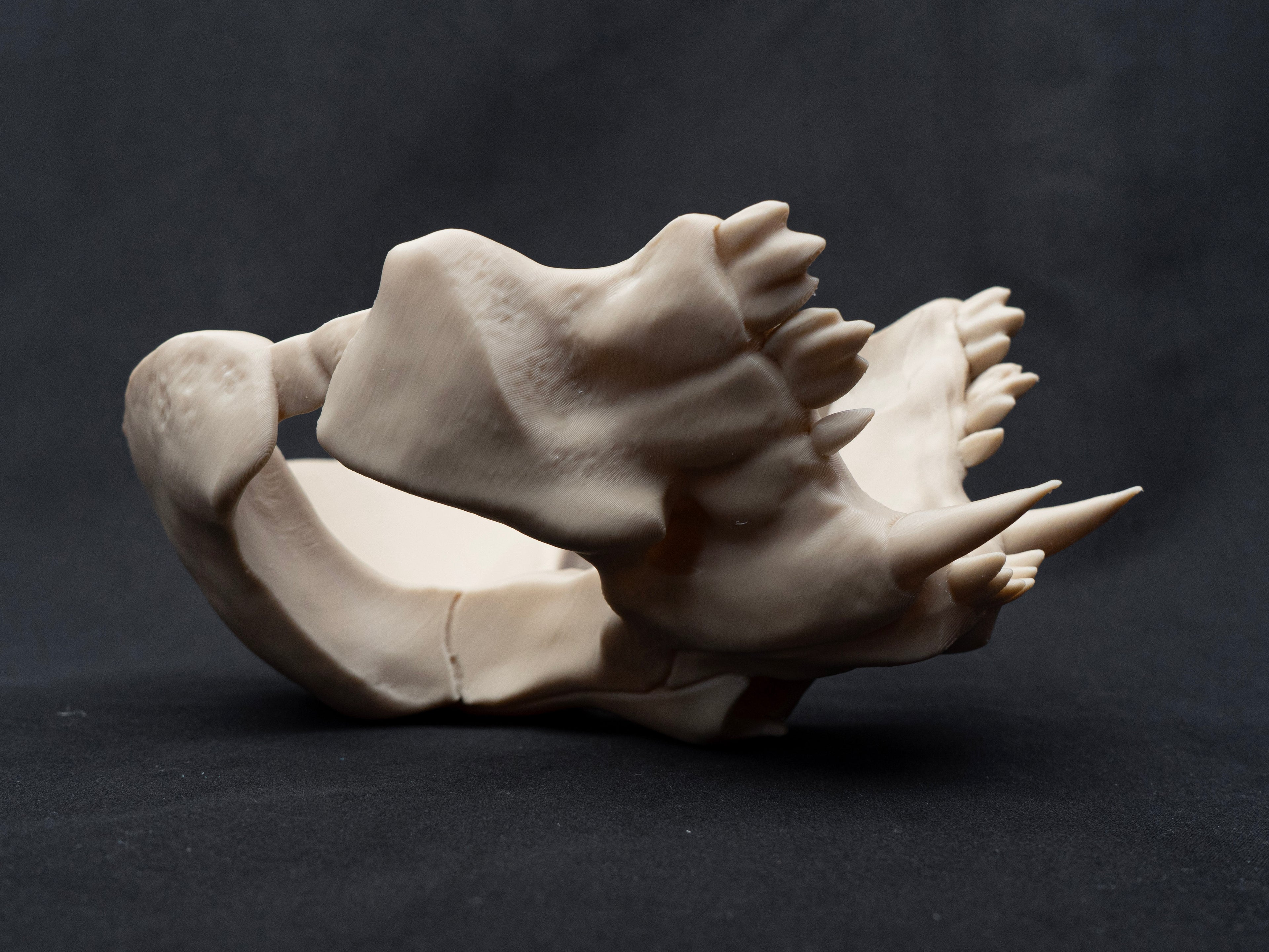 Cat Skull Half Face Mask – Gothic Halloween Costume, Fancy Dress, 3D Printed