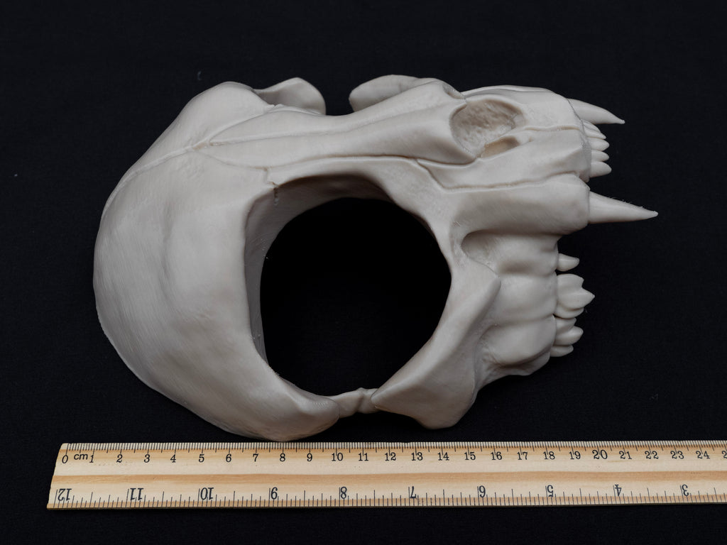 Cat Skull Half Face Mask – Gothic Halloween Costume, Fancy Dress, 3D Printed