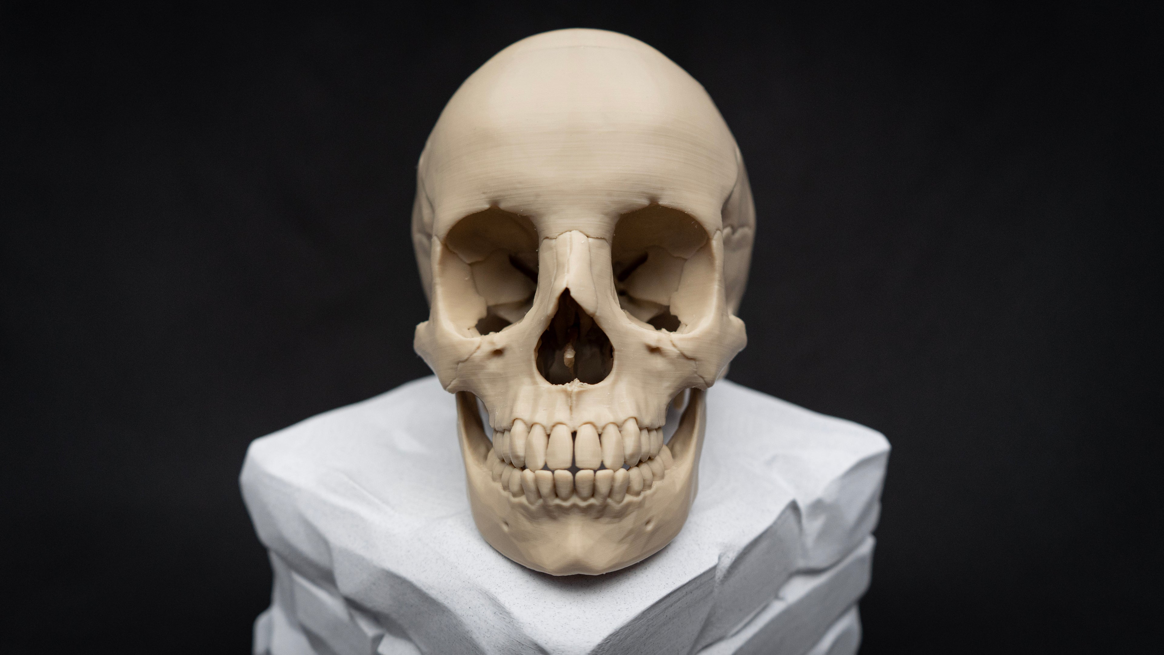 Life Size Human Skull Replica – Realistic 3D Printed Bone Model for Display