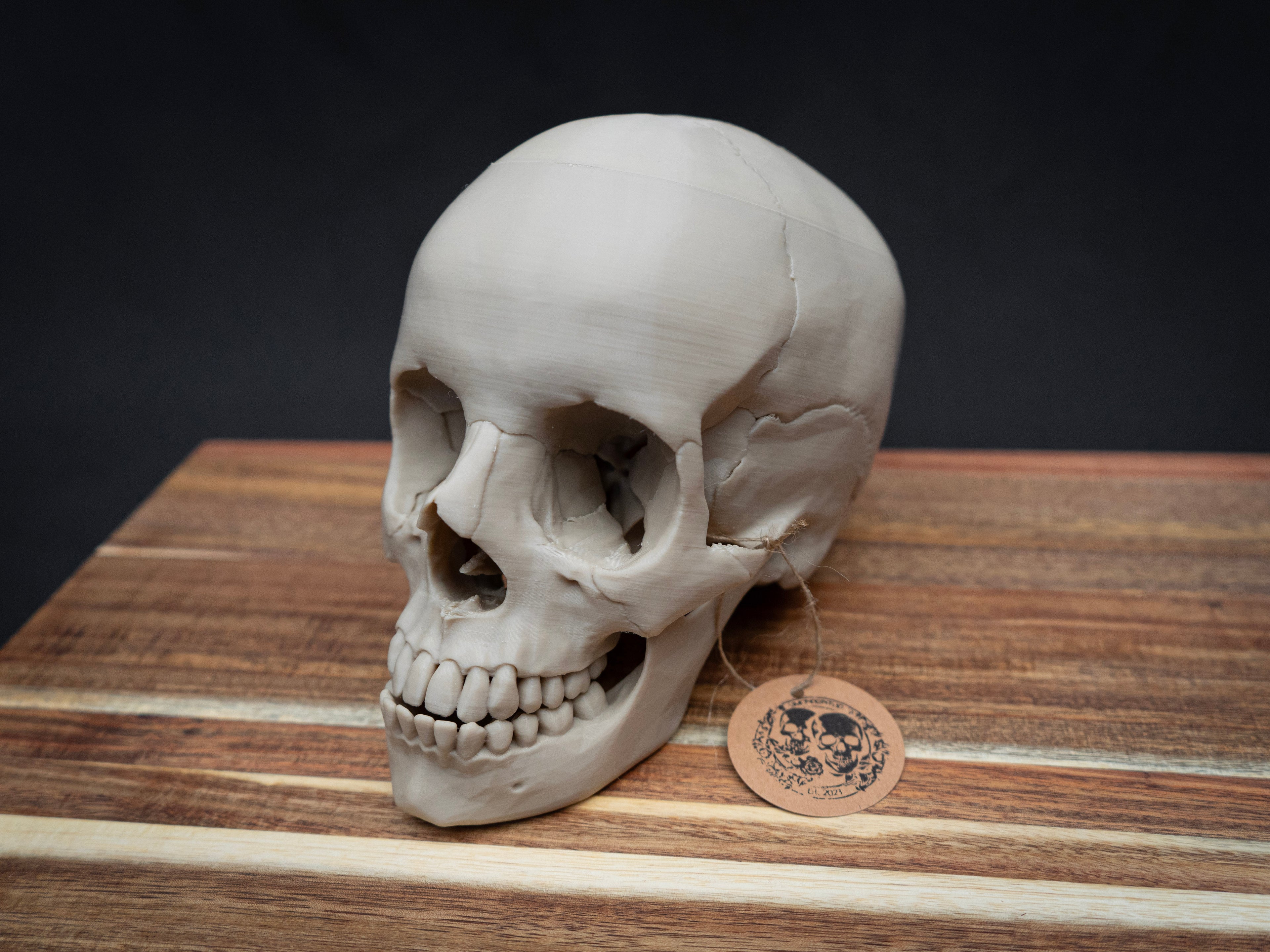 Life Size Human Skull Replica – Realistic 3D Printed Bone Model for Display
