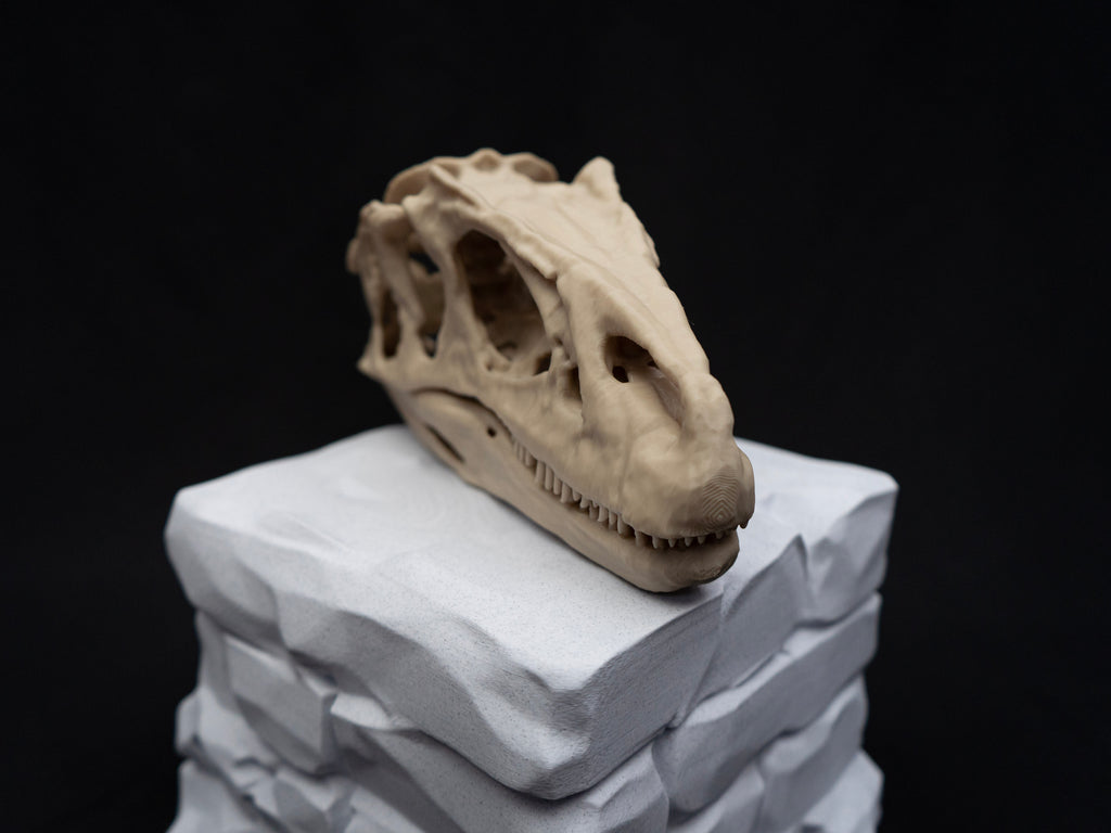 Scaled Down Allosaurus Skull Replica – Realistic 3D Printed Dinosaur Bone Model