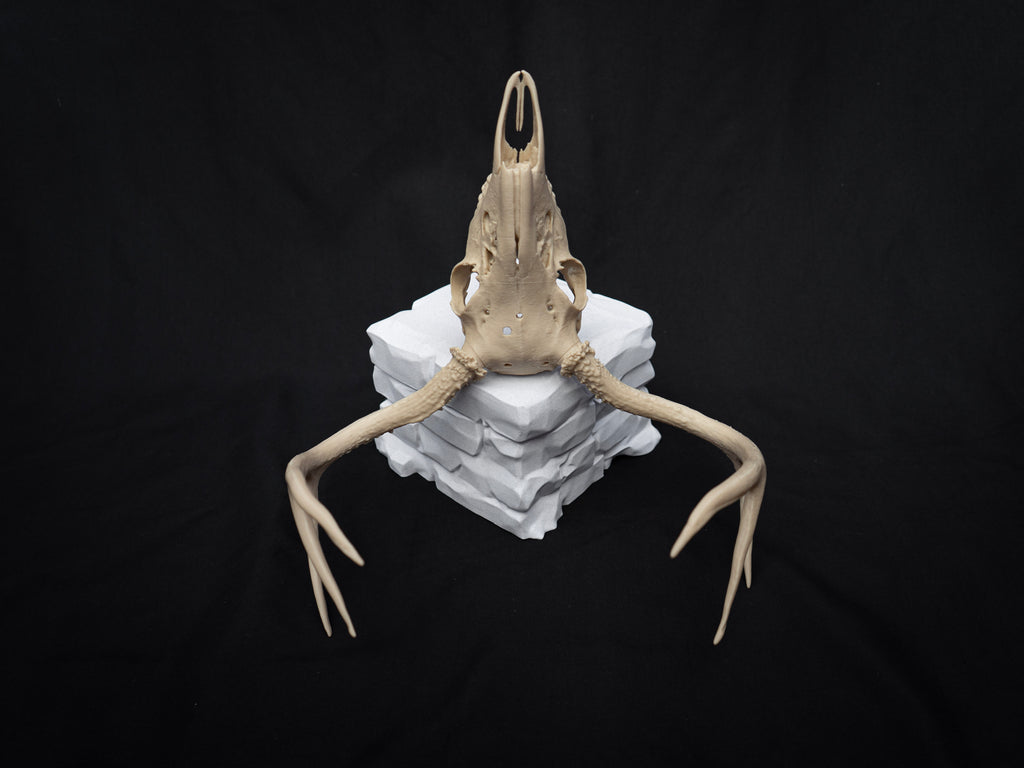 Life Size Deer Skull Kit Replica – Realistic 3D Printed Deer Skull Bone Display - Assemble At Home