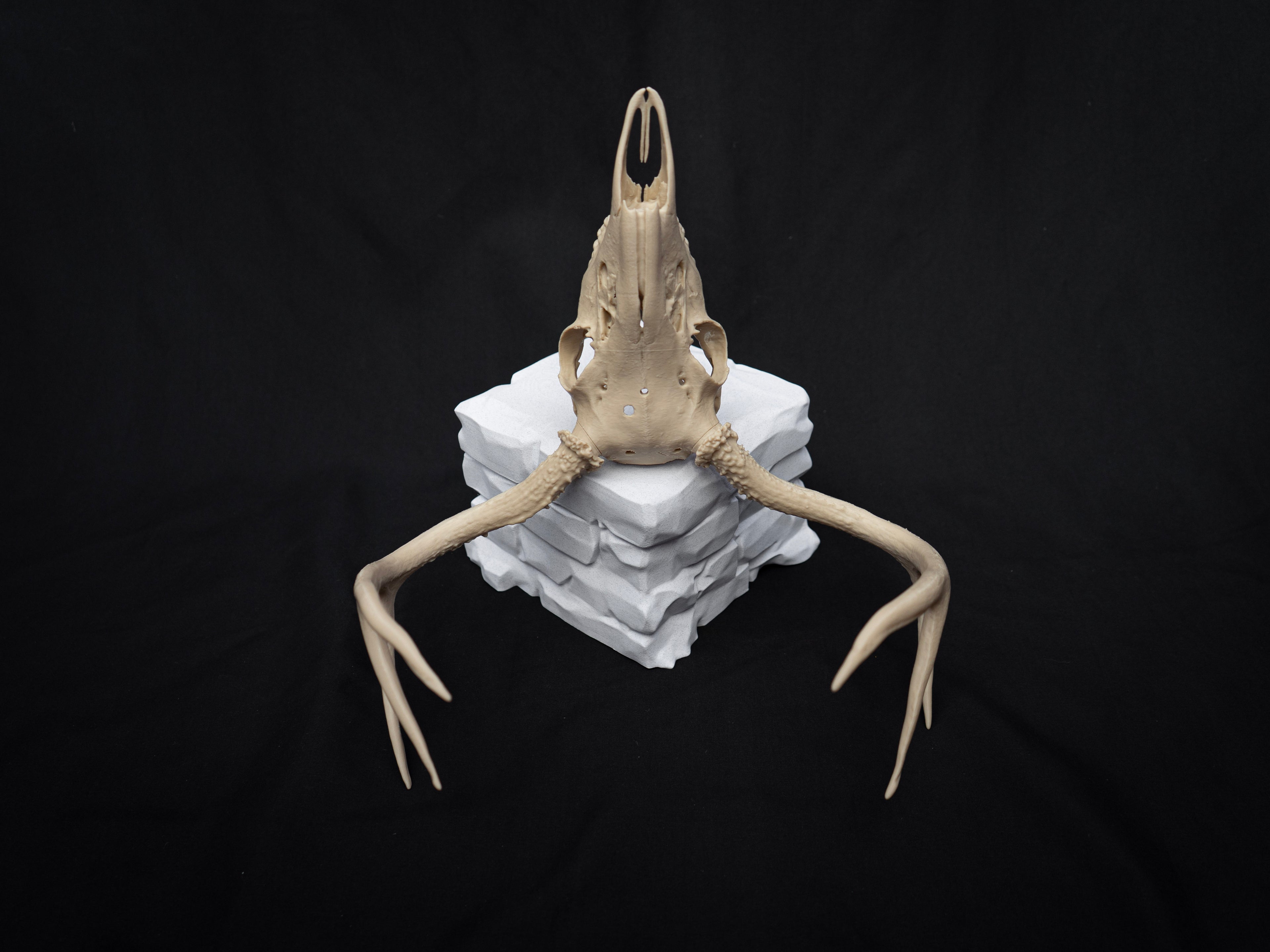 Life Size Deer Skull Kit Replica – Realistic 3D Printed Deer Skull Bone Display - Assemble At Home